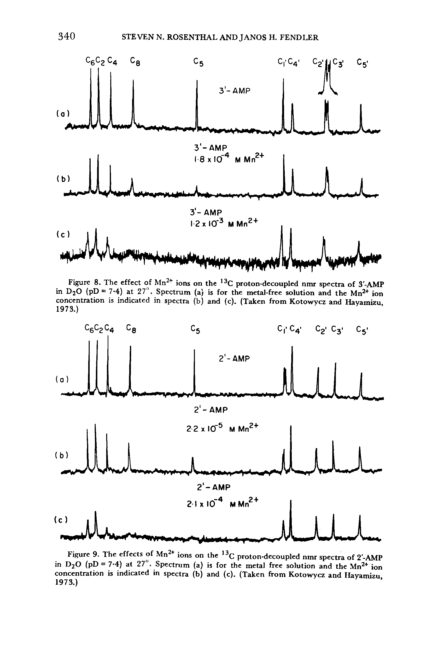 Figure 8. The effect of Mn2+ ions on the 13C proton-decoupled nmr spectra of 3-AMP in D20 (pD = 7-4) at 27°. Spectrum (a) is for the metal-free solution and the Mn2+ ion concentration is indicated in spectra (b) and (c). (Taken from Kotowycz and Hayamizu, 1973.)...