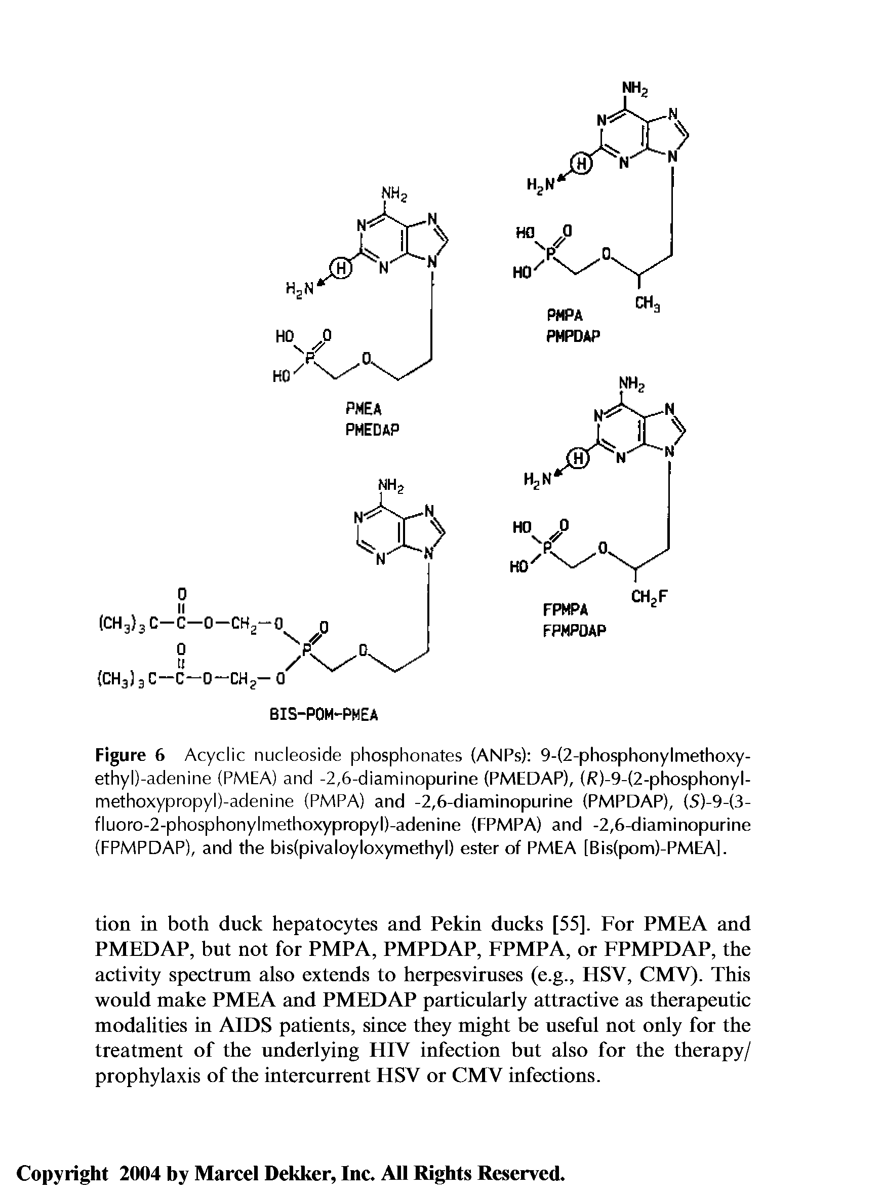 Figure 6 Acyclic nucleoside phosphonates (ANPs) 9-(2-phosphonylmethoxy-ethyl)-adenine (PMEA) and -2,6-diaminopurine (PMEDAP), (R)-9-(2-phosphonyl-methoxypropyl)-adenine (PMPA) and -2,6-diaminopurine (PMPDAP), (5)-9-(3-fluoro-2-phosphonylmethoxypropyl)-adenine (FPMPA) and -2,6-diaminopurine (FPMPDAP), and the bis(pivaloyloxymethyl) ester of PMEA [Bis(pom)-PMEA].