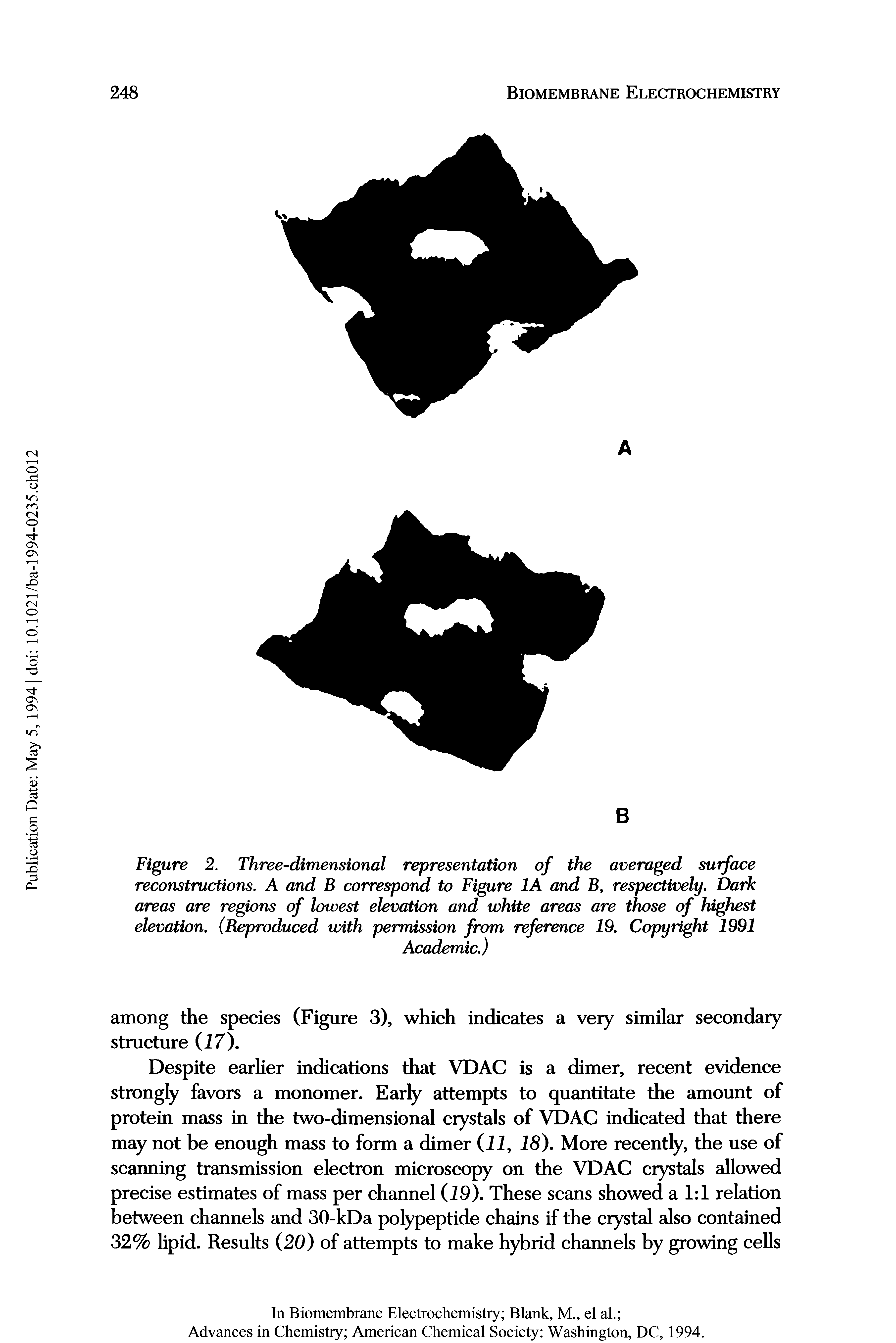 Figure 2. Three-dimensional representation of the averaged surface reconstructions. A and B correspond to Figure 1A and B, respectively. Dark areas are regions of lowest elevation and white areas are those of highest elevation. (Reproduced with permission from reference 19. Copyright 1991...