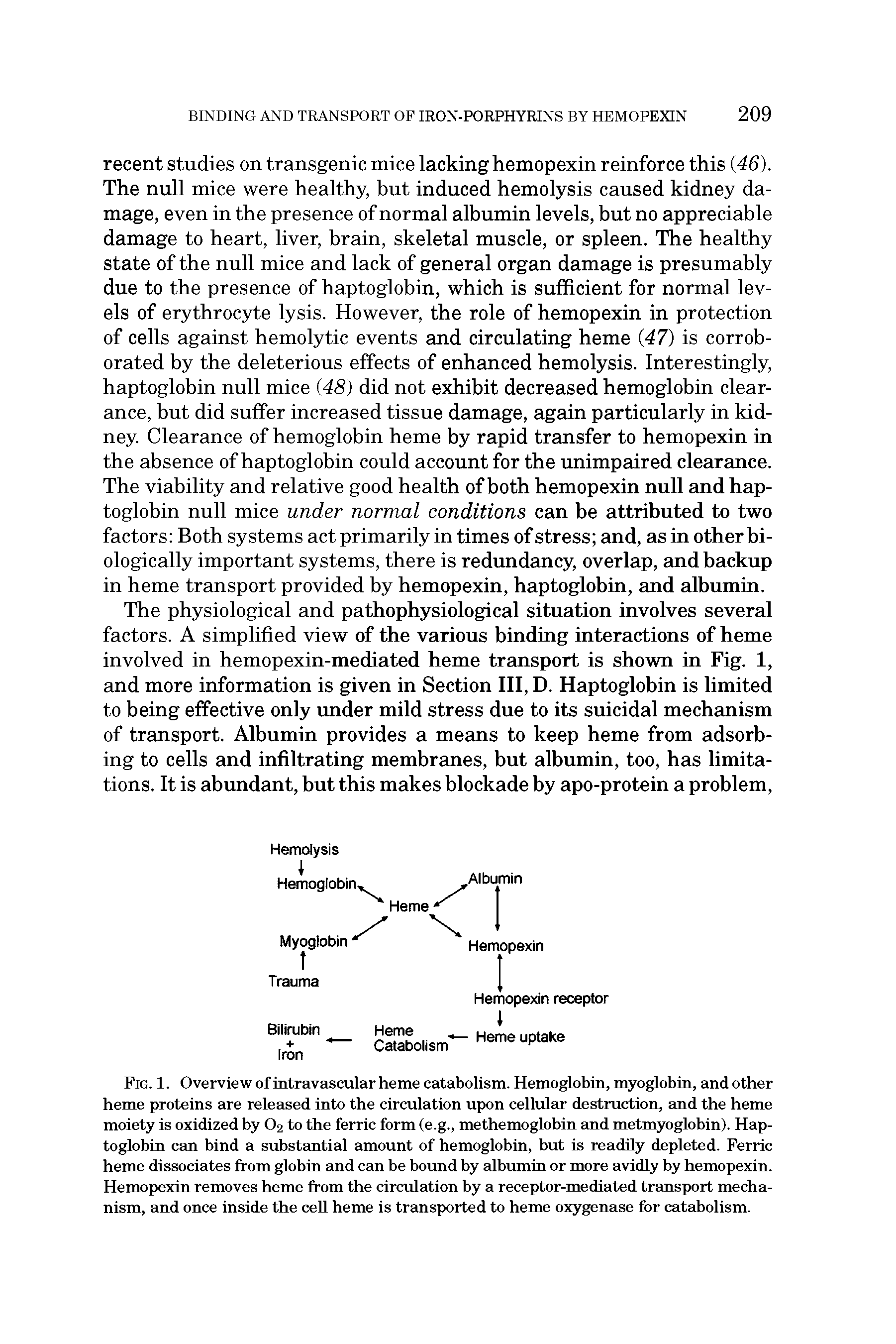 Fig. 1. Overview of intravascular heme catabolism. Hemoglobin, myoglobin, and other heme proteins are released into the circulation upon cellular destruction, and the heme moiety is oxidized by O2 to the ferric form (e.g., methemoglobin and metmyoglobin). Haptoglobin can bind a substantial amount of hemoglobin, but is readily depleted. Ferric heme dissociates from globin and can be bound by albumin or more avidly by hemopexin. Hemopexin removes heme from the circulation by a receptor-mediated transport mechanism, and once inside the ceU heme is transported to heme oxygenase for catabolism.