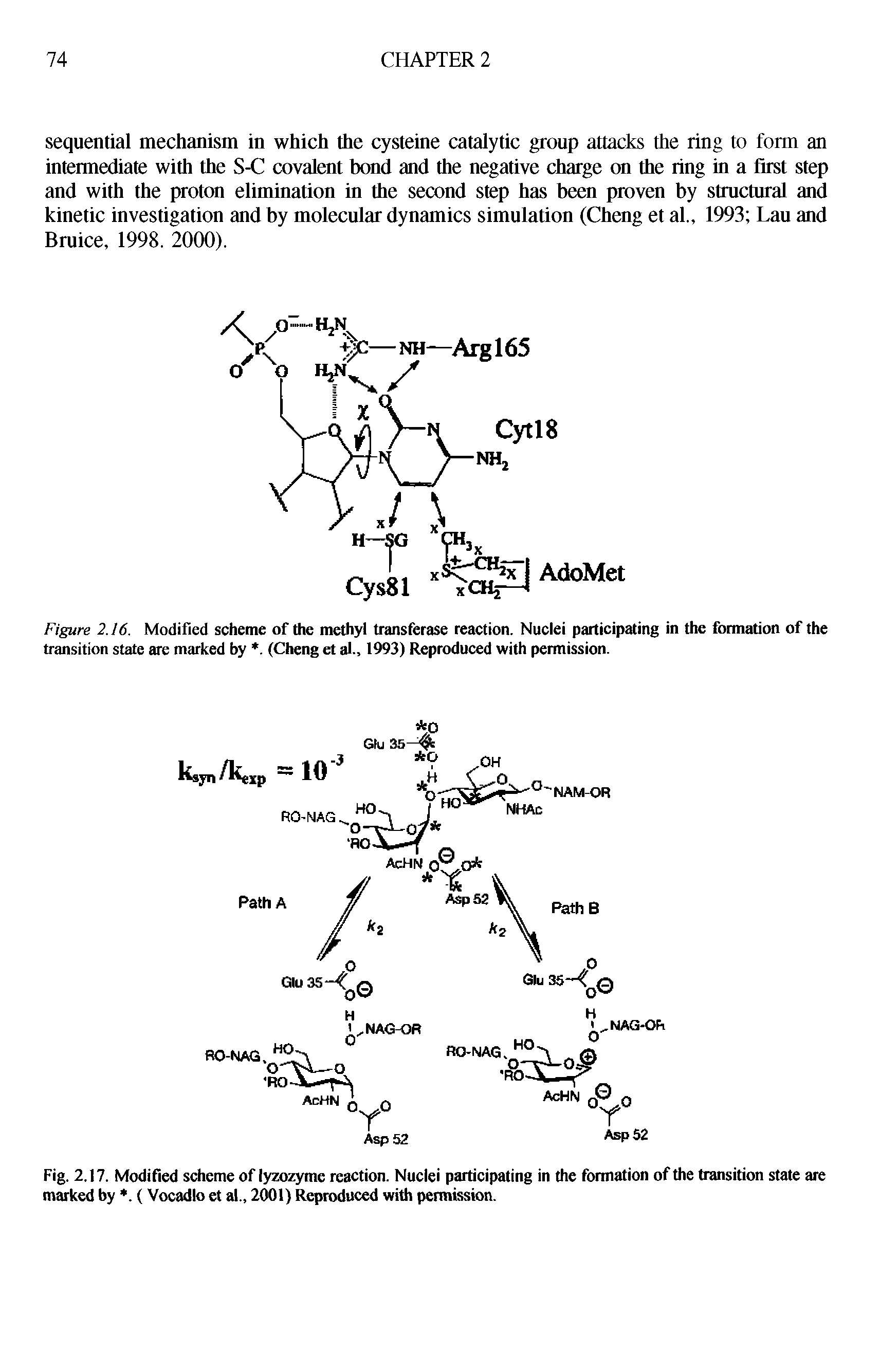 Fig. 2.17. Modified scheme of lyzozyme reaction. Nuclei participating in the formation of the transition state are marked by. (Vocadlo et al., 2001) Reproduced with permission.