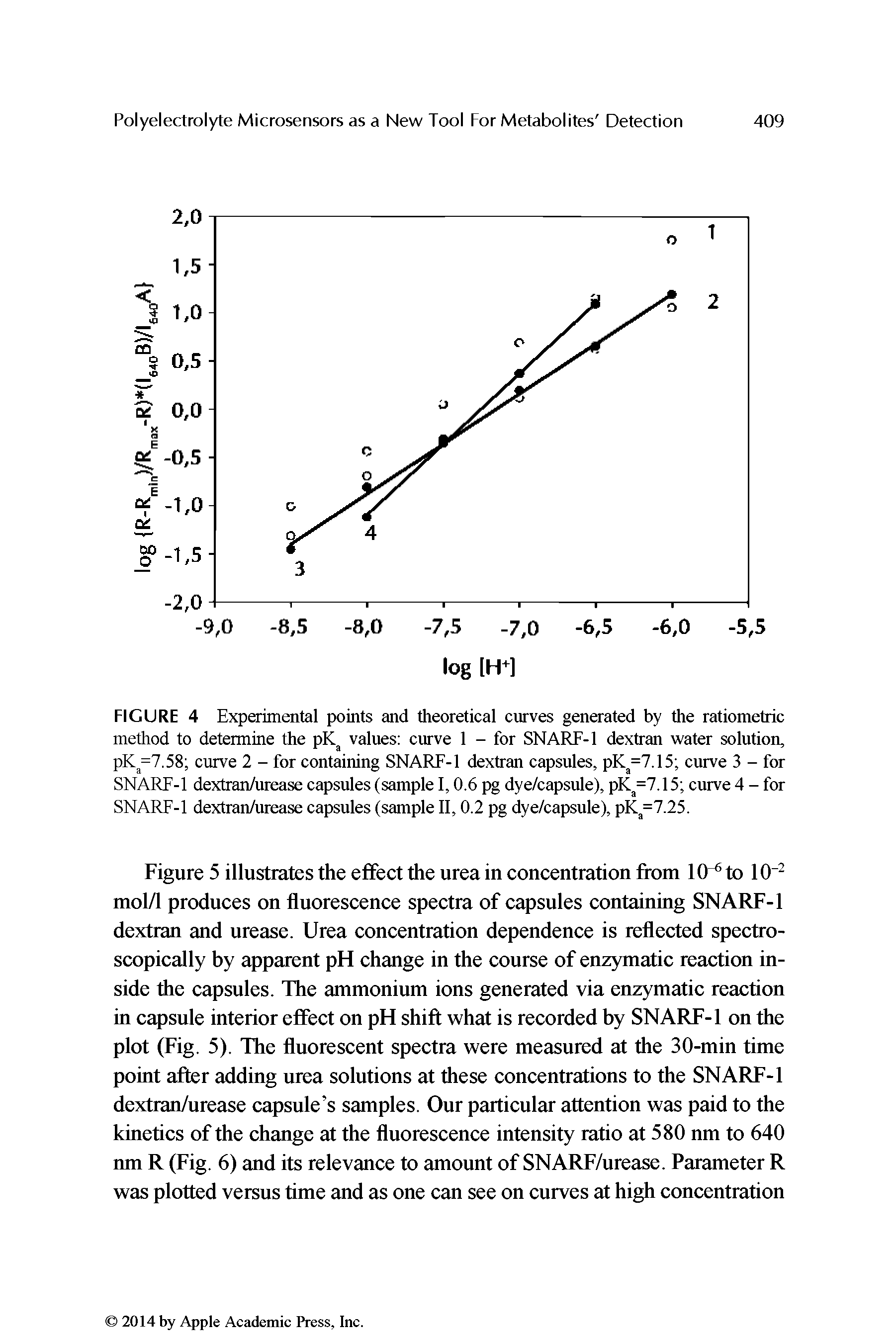 Figure 5 illustrates the effect the urea in concentration from 10 to 10 mol/1 produces on fluorescence spectra of capsules containing SNARF-1 dextran and urease. Urea concentration dependence is reflected spectroscopically by apparent pH change in the course of enzymiatic reaction inside the capsules. The ammonium ions generated via enzymatic reaction in capsule interior effect on pH shift what is recorded by SNARF-1 on the plot (Fig. 5). The fluorescent spectra were measured at the 30-min time point after adding urea solutions at these concentrations to the SNARF-1 dextran/urease capsule s samples. Our particular attention was paid to the kinetics of the change at the fluorescence intensity ratio at 580 nm to 640 nm R (Fig. 6) and its relevance to amount of SNARF/urease. Parameter R was plotted versus time and as one can see on curves at high concentration...