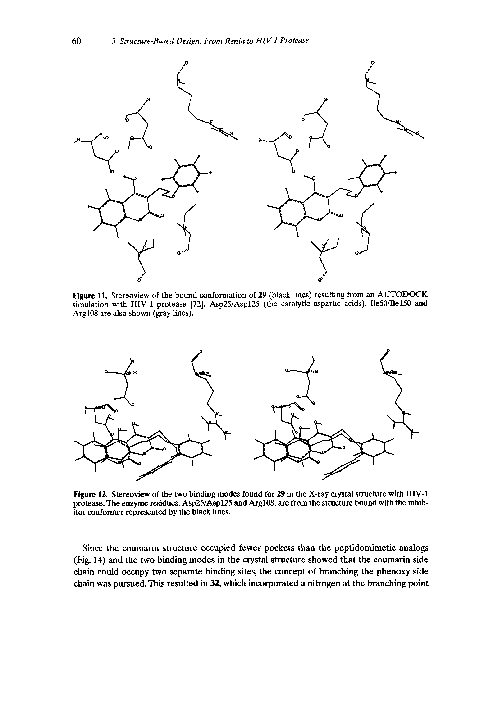 Figure 11. Stereoview of the bound conformation of 29 (black lines) resulting from an AUTODOCK simulation with HIV-1 protease [72], Asp25/Aspl25 (the catalytic aspartic acids), Ile50/Ilel50 and ArglOS are also shown (gray lines).