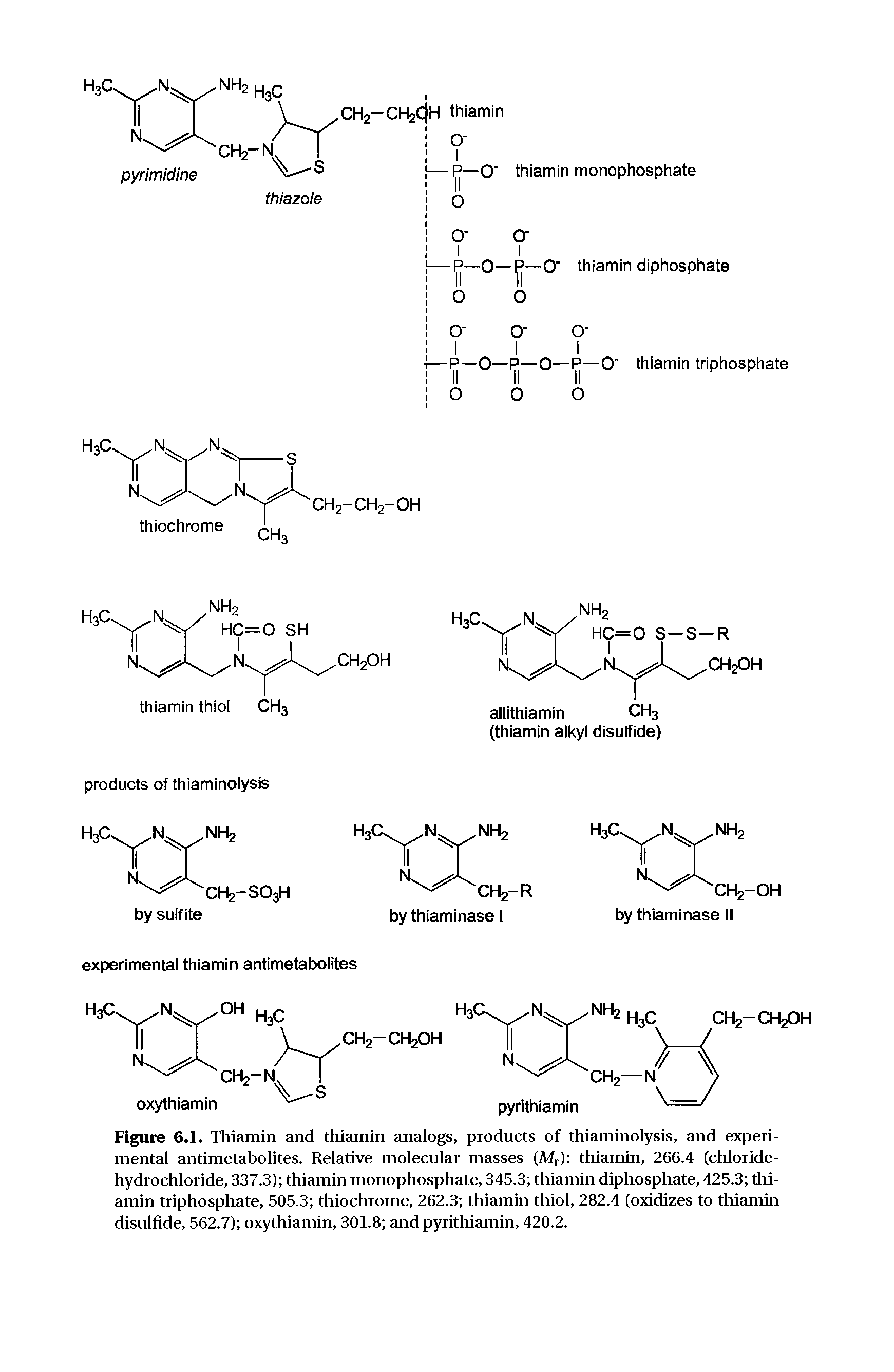 Figure 6.1. Thiamin and thiamin analogs, products of tliiaminolysis, and experimental antimetabolites. Relative molecular masses (M,) thiamin, 266.4 (chloride-hydrochloride, 337.3) thiamin monophosphate, 345.3 thiamin diphosphate, 425.3 thiamin triphosphate, 505.3 thiochrome, 262.3 thiamin thiol, 282.4 (oxidizes to thiamin disulfide, 562.7) oxythiamin, 301.8 and pyrithiamin, 420.2.
