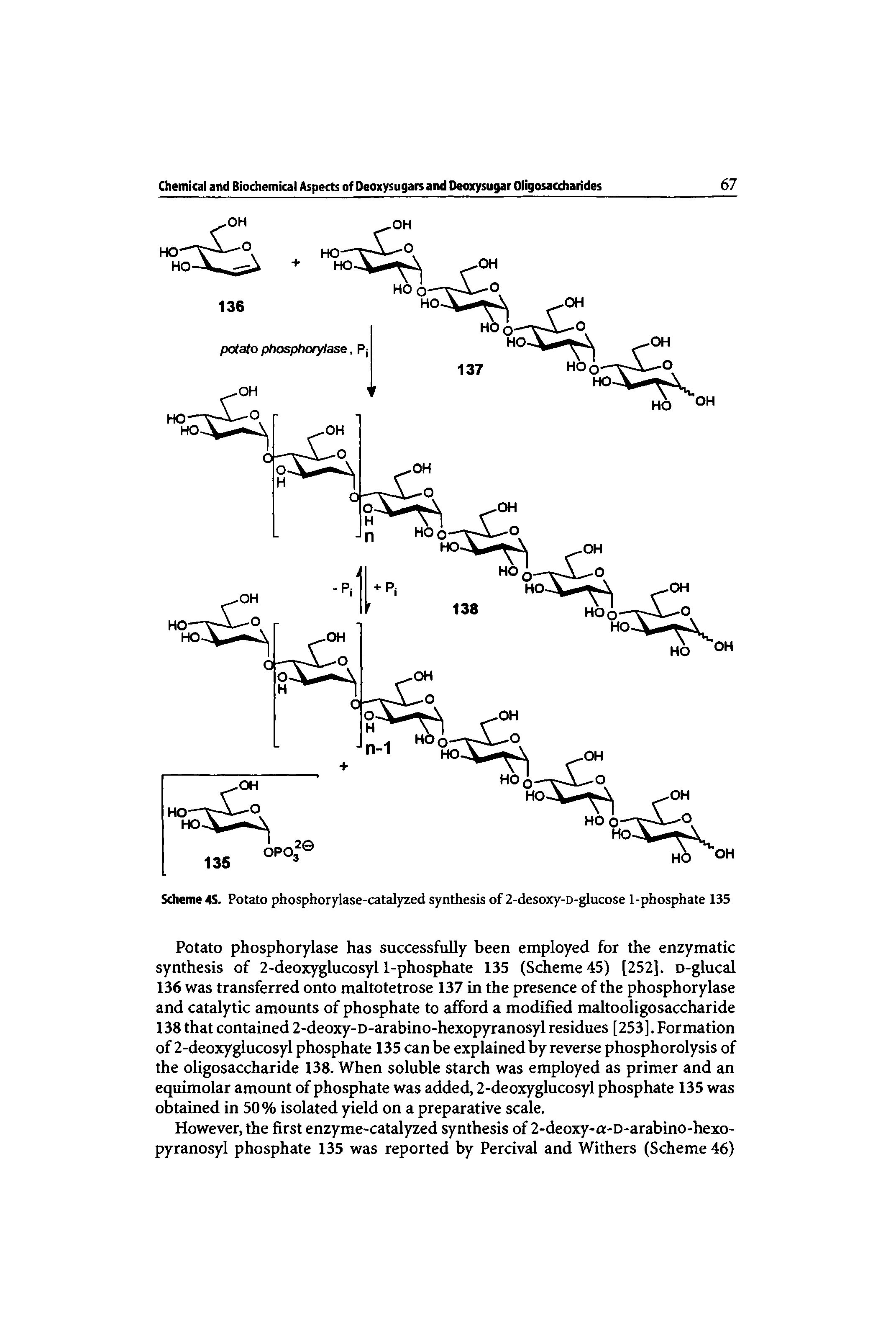 Scheme 4S. Potato phosphorylase-catalyzed synthesis of 2-desoxy-D-glucose 1-phosphate 135...