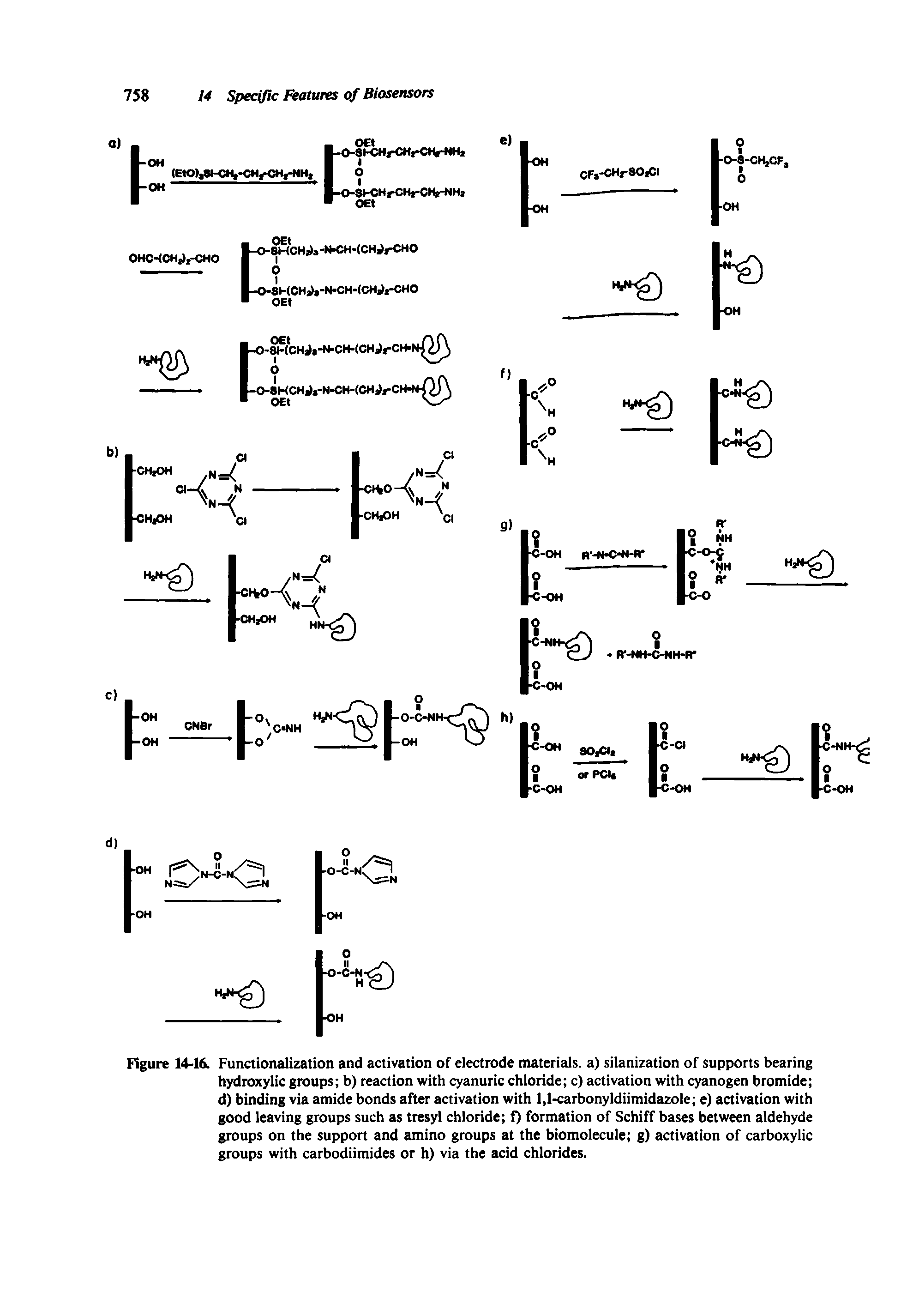 Figure 14-1 Functionalization and activation of electrode materials, a) silanization of supports bearing hydroxylic groups b) reaction with cyanuric chloride c) activation with cyanogen bromide d) binding via amide bonds after activation with 1,1-carbonyldiimidazole e) activation with good leaving groups such as tresyl chloride f) formation of Schiff bases between aldehyde groups on the support and amino groups at the biomolecule g) activation of carboxylic groups with carbodiimides or h) via the acid chlorides.