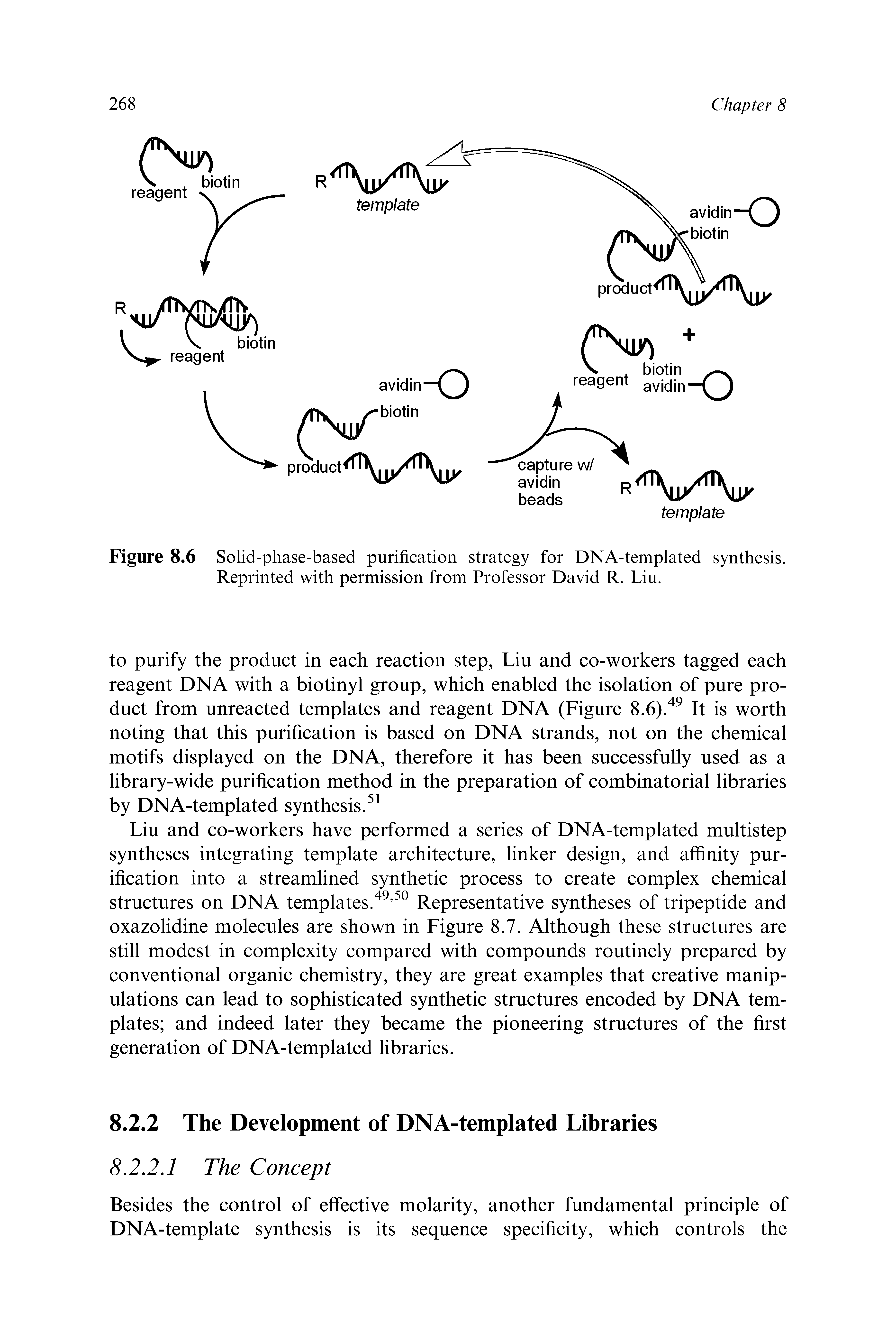 Figure 8.6 Solid-phase-based purification strategy for DNA-templated synthesis. Reprinted with permission from Professor David R. Liu.