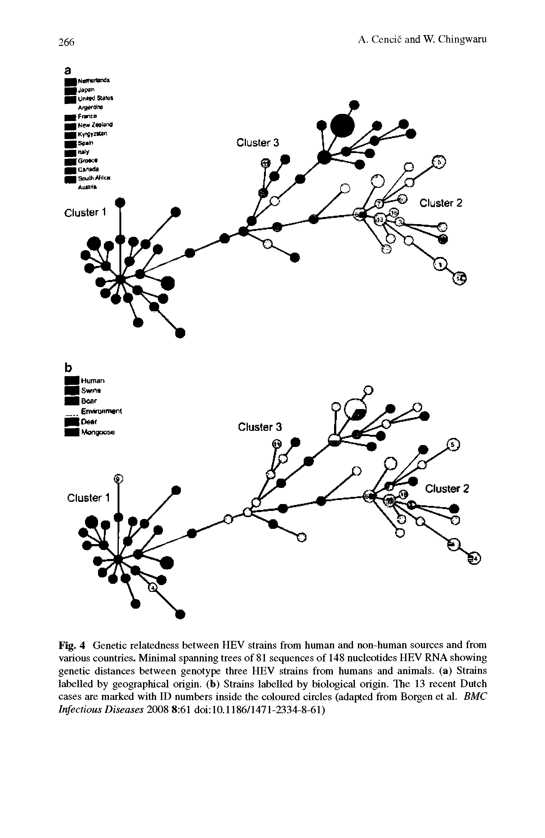 Fig. 4 Genetic relatedness between HEV strains from human and non-human sources and from various countries. Minimal spanning trees of 81 sequences of 148 nucleotides HEV RNA showing genetic distances between genotype three HEV strains from humans and animals, (a) Strains labelled by geographical origin, (b) Strains labelled by biological origin. The 13 recent Dutch cases are marked with ID numbers inside the coloured circles (adapted from Bergen et al. BMC Infectious Diseases 2008 8 61 doi 10.1186/1471-2334-8-61)...