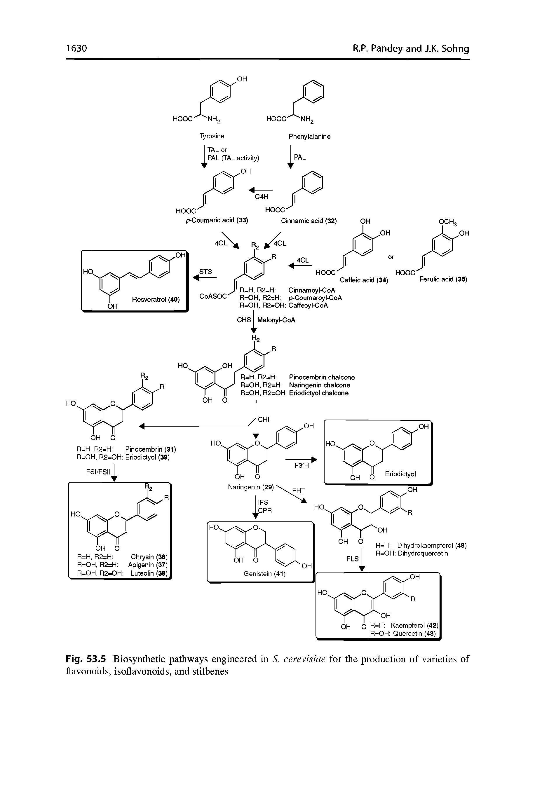 Fig. 53.5 Biosynthetic pathways engineered in S. cerevisiae for the production of varieties of flavonoids, isoflavonoids, and stilbenes...