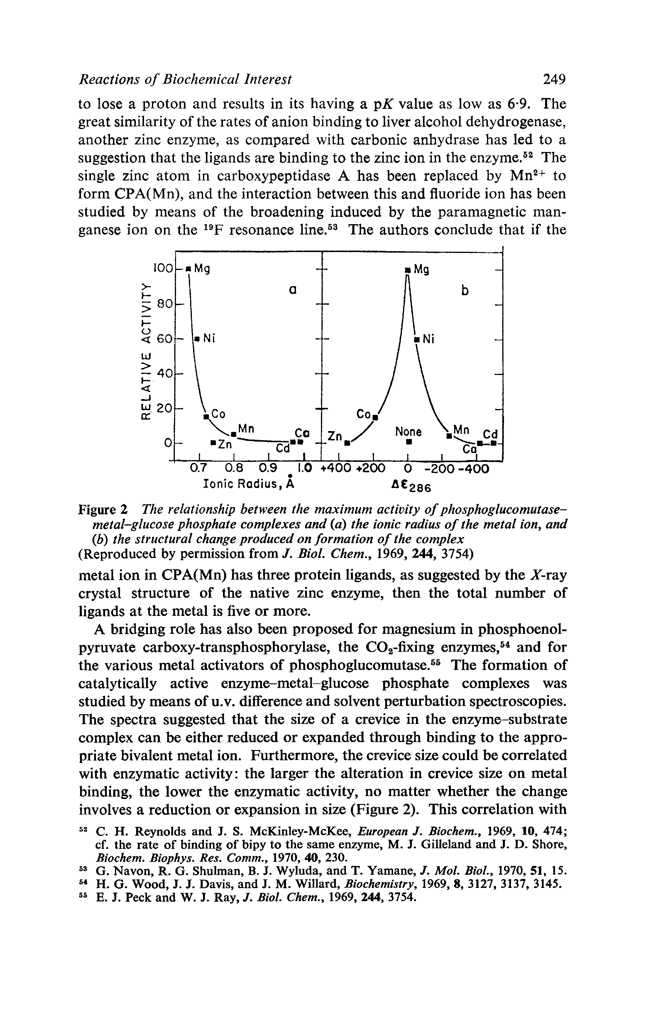 Figure 2 The relationship between the maximum activity of phosphoglucomutase-metal-glucose phosphate complexes and (a) the ionic radius of the metal ion, and (b) the structural change produced on formation of the complex (Reproduced by permission from J. Biol. Chem., 1969, 244, 3754)...