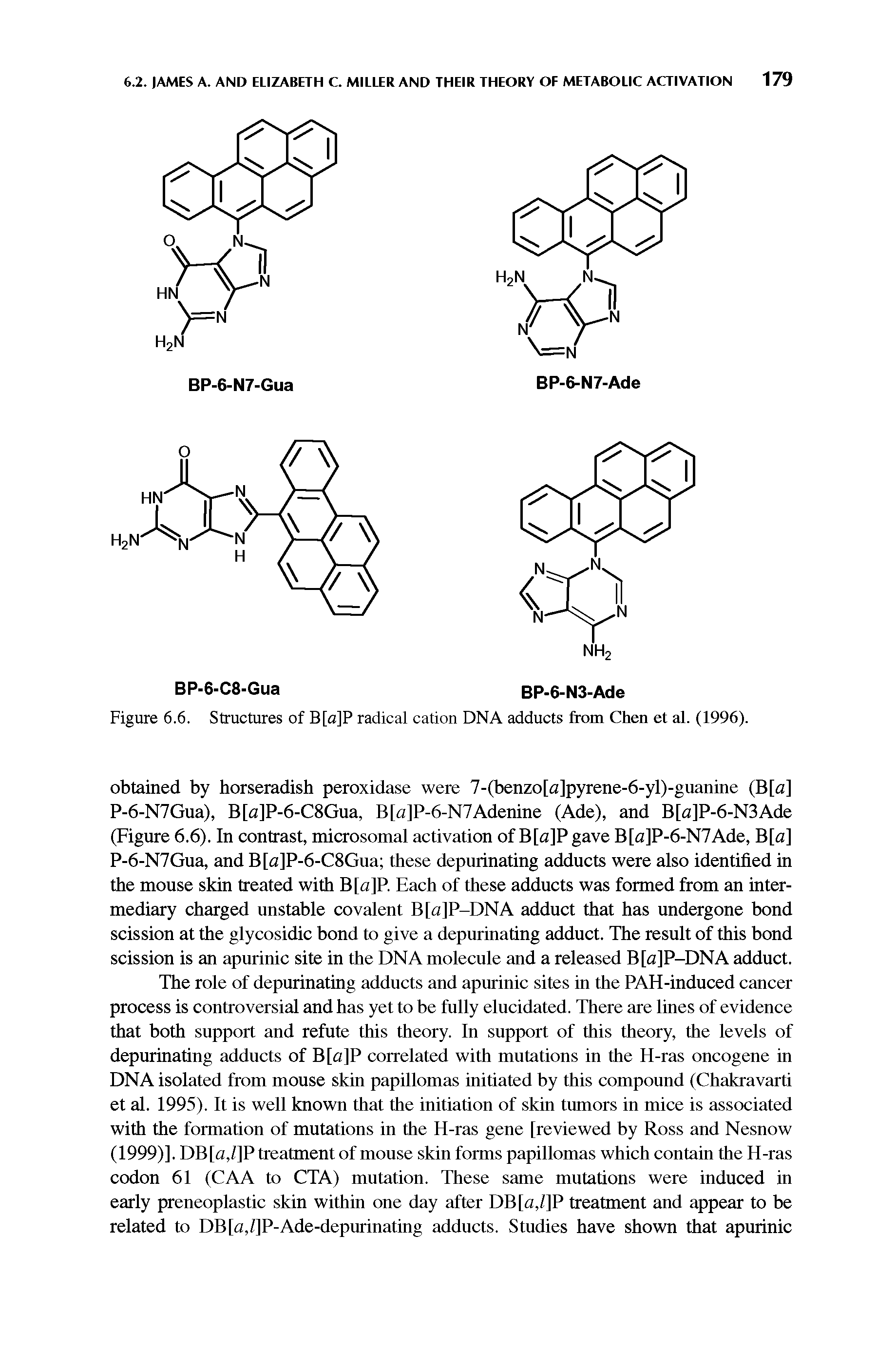 Figure 6.6. Structures of B[a]P radical cation DNA adducts from Chen et al. (1996).