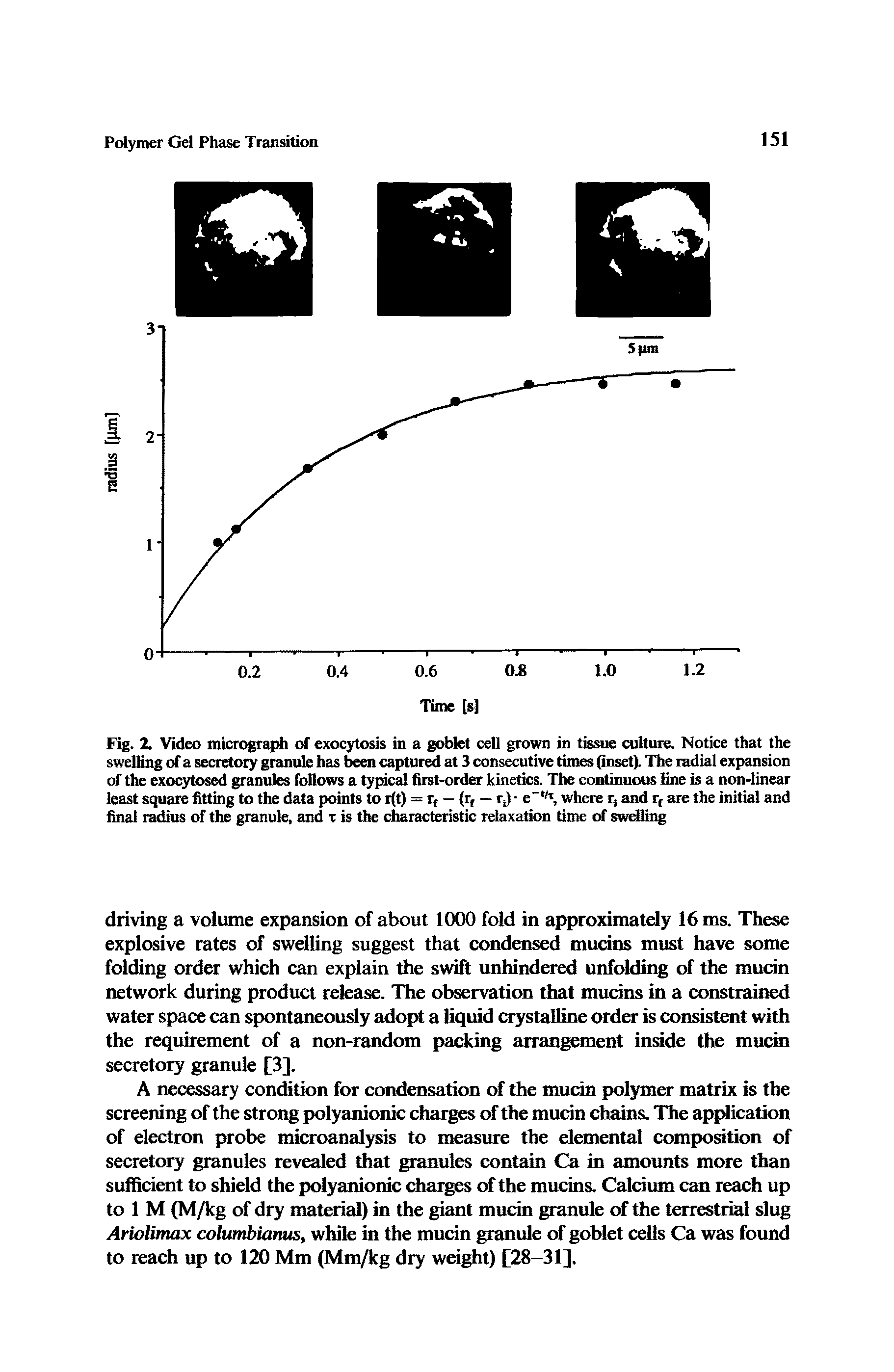 Fig. 2. Video micrograph of exocytosis in a goblet cell grown in tissue culture. Notice that the swelling of a secretory granule has been captured at 3 consecutive times (inset). The radial expansion of the exocytosed granules follows a typical first-order kinetics. The continuous line is a non-linear least square fitting to the data points to r(t) = rf — (rf — rj e " /T, where r, and rr are the initial and final radius of the granule, and t is the characteristic relaxation time of swelling...
