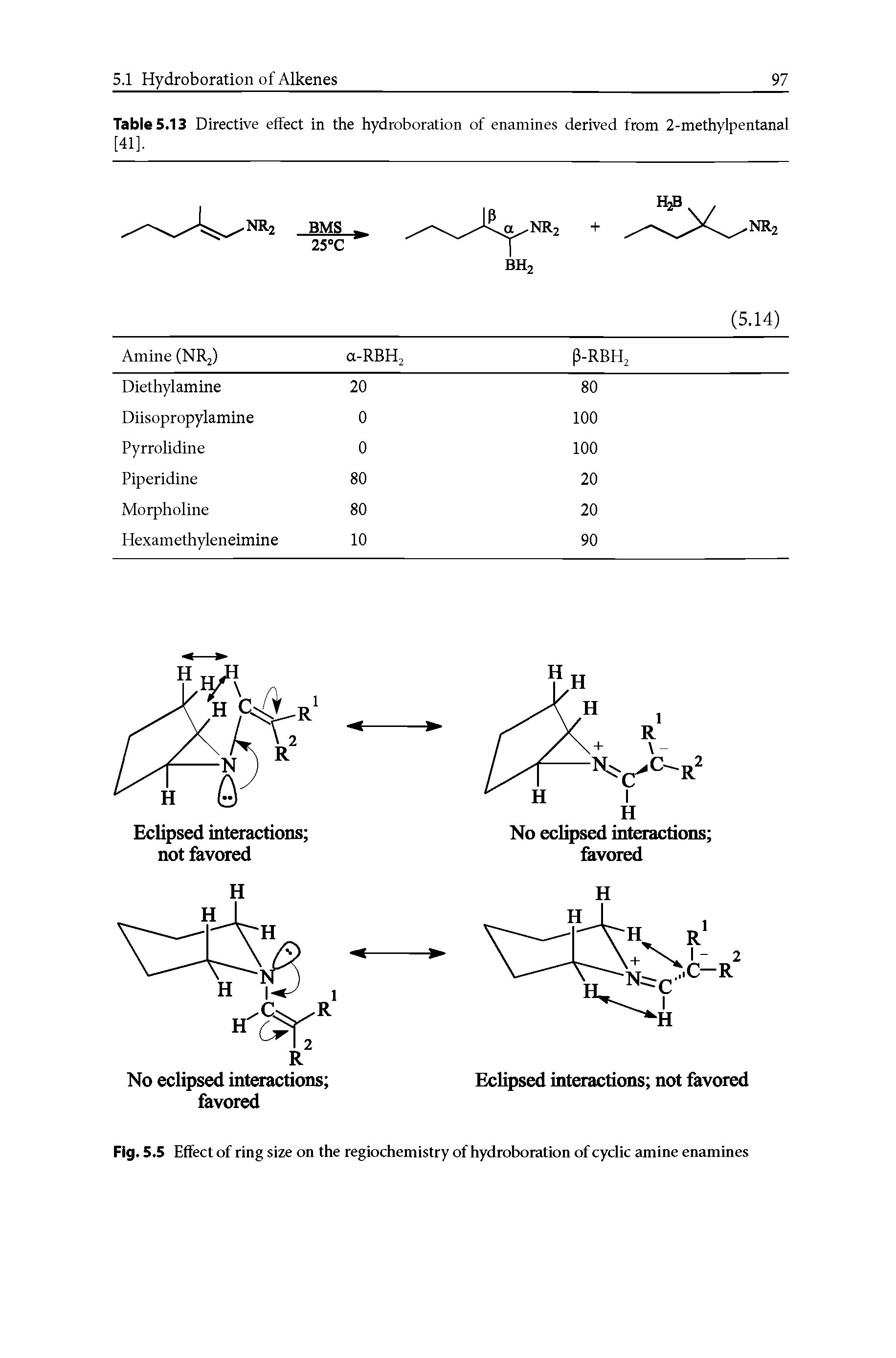 Table 5.13 Directive effect in the hydroboration of enamines derived from 2-methylpentanal [41].