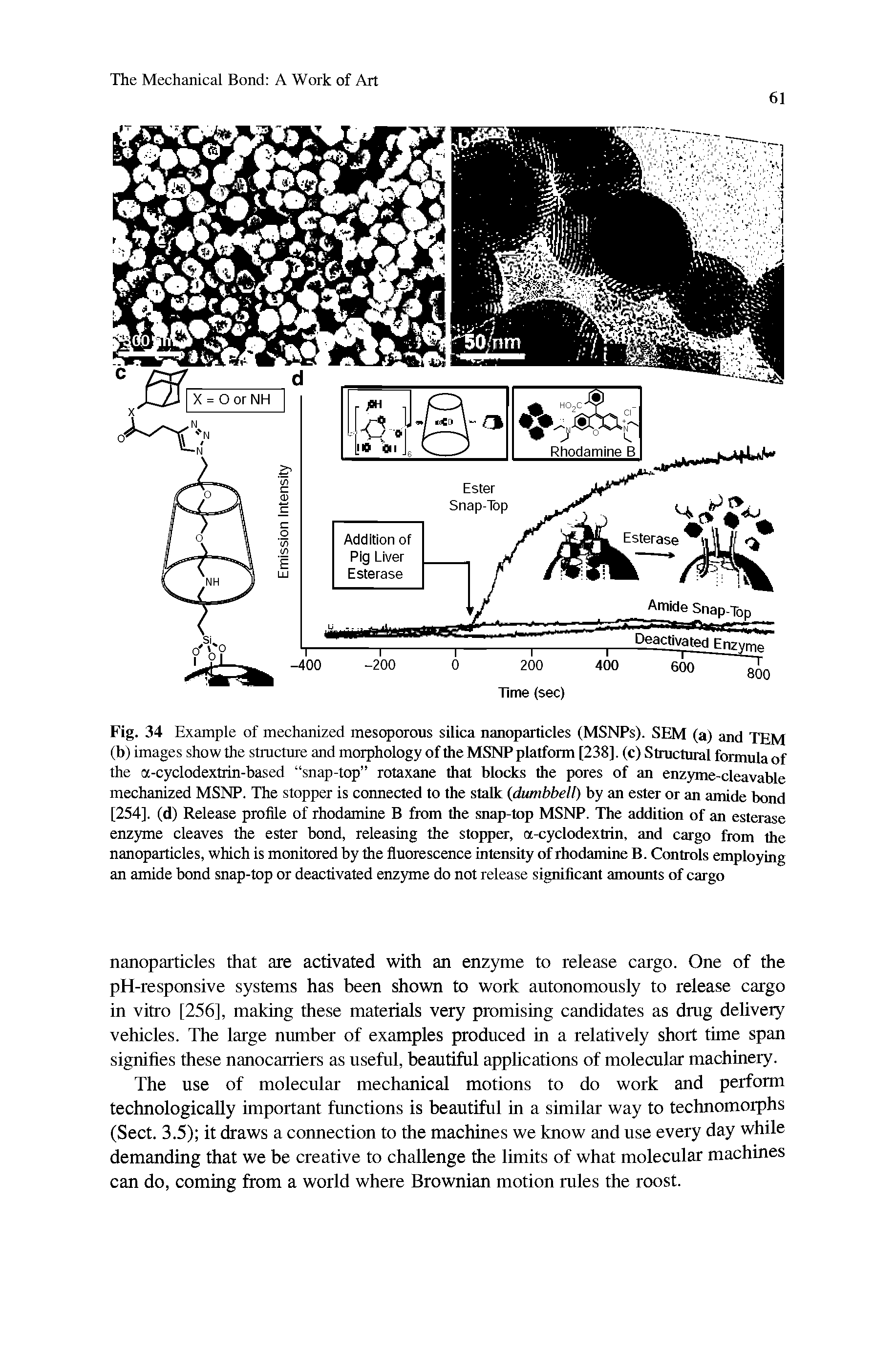 Fig. 34 Example of mechanized mesoporous silica nanoparticles (MSNPs). SEM (a) and TEM (b) images show the structure and morphology of the MSNP platform [238]. (c) Structural formula of the a-cyclodextrin-based snap-top rotaxane that blocks the pores of an enzyme-cleavable mechanized MSNP. The stopper is connected to the stalk (dumbbell) by an ester or an amide bond [254]. (d) Release profile of rhodamine B from the snap-top MSNP. The addition of an esterase enzyme cleaves the ester bond, releasing the stopper, a-cyclodextrin, and cargo from the nanoparticles, which is monitored by the fluorescence intensity of rhodamine B. Controls employing an amide bond snap-top or deactivated enzyme do not release significant amounts of cargo...