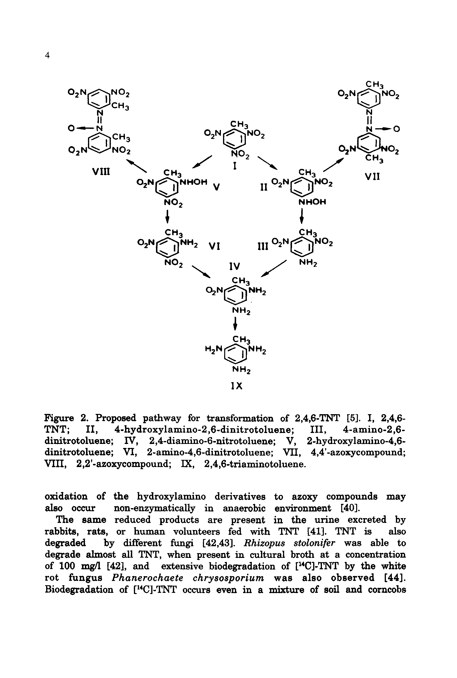 Figure 2. Proposed pathway for transformation of 2,4,6-TNT [5]. I, 2,4,6-TNT II, 4-hydroxylamino-2,6-dinitrotoluene III, 4-amino-2,6-dinitrotoluene IV, 2,4-diamino-6-nitrotoluene V, 2-hydroxylamino-4,6-dinitrotoluene VI, 2-amino-4,6-dinitrotoluene VII, 4,4 -azoxycompound VIII, 2,2 -azoxycompound IX, 2,4,6-triaminotoluene.