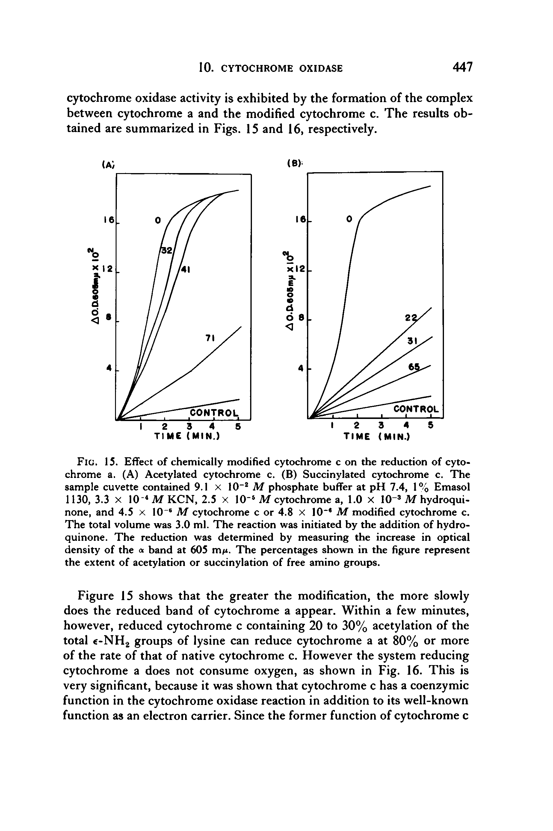 Fig. 15. Effect of chemically modified cytochrome c on the reduction of cytochrome a. (A) Acetylated cytochrome c. (B) Succinylated cytochrome c. The sample cuvette contained 9.1 x 10" M phosphate buffer at pH 7.4, 1% Emasol 1130, 3.3 X I0 MKCN, 2.5 x I O M cytochrome a, 1.0 x 10 M hydroqui-none, and 4.5 x I0" M cytochrome c or 4.8 x 10 M modified cytochrome c. The total volume was 3.0 ml. The reaction was initiated by the addition of hydro-quinone. The reduction was determined by measuring the increase in optical density of the <x band at 605 m/i. The percentages shown in the figure represent the extent of acetylation or succinylation of free amino groups.