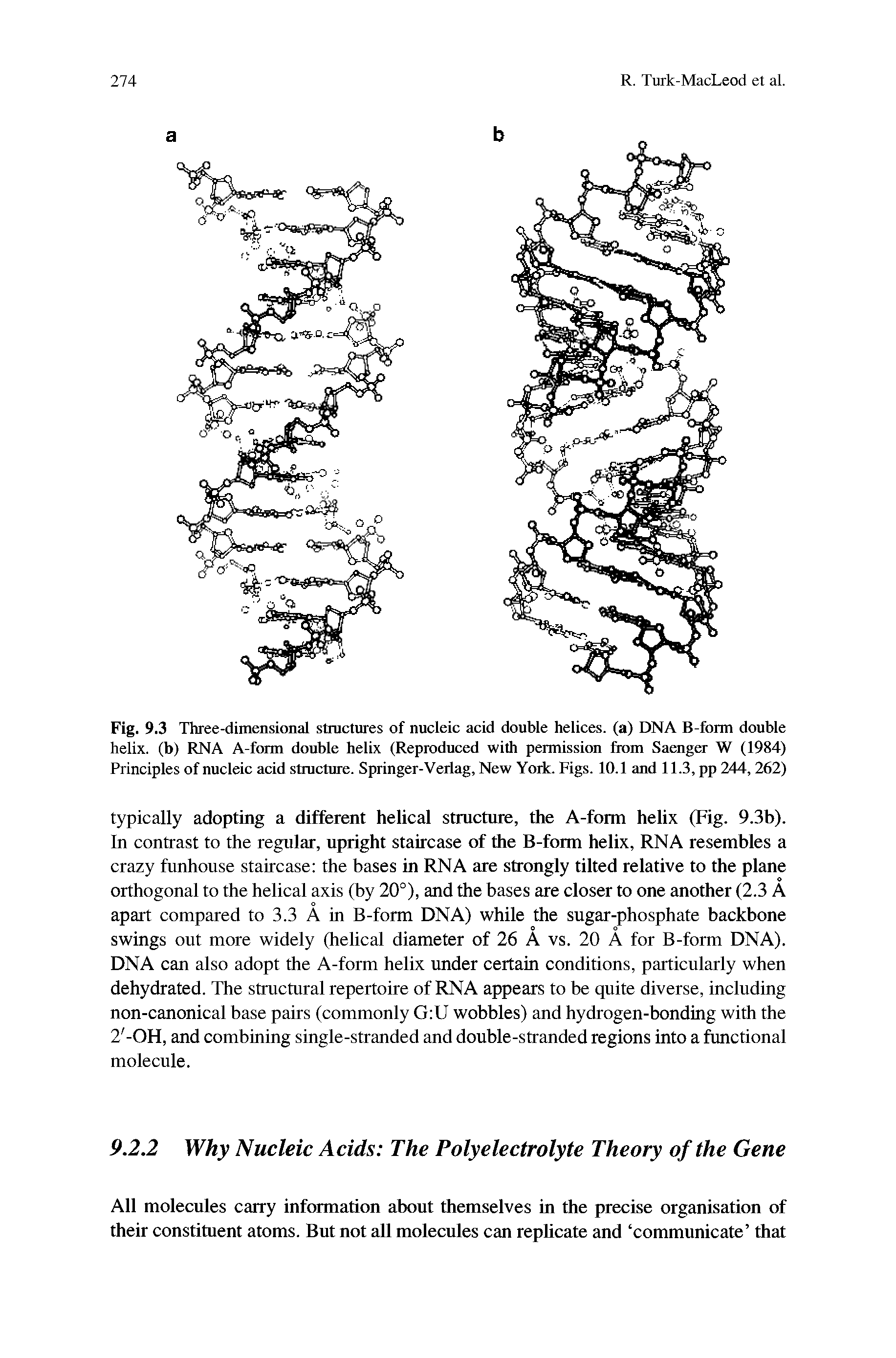 Fig. 9.3 Three-dimensional structures of nucleic acid double helices, (a) DNA B-form double helix, (b) RNA A-fram double helix (Reproduced with permissitm fiom Saenger W (1984) Principles of nucleic add structure. Springer-Verlag, New York. Figs. 10.1 and 11.3, pp 244,262)...