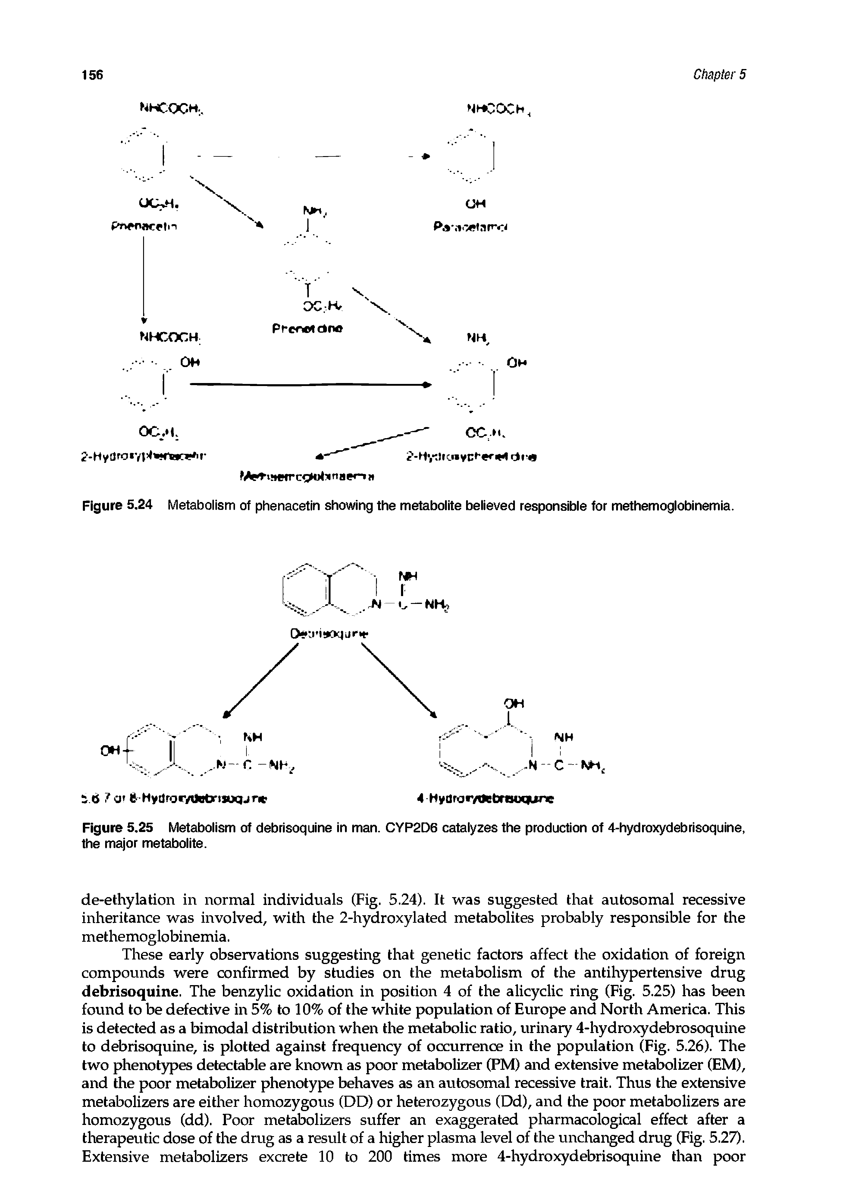 Figure 5.25 Metabolism of debrisoquine in man. CYP2D6 catalyzes the production of 4-hydroxydebrisoquine, the major metabolite.