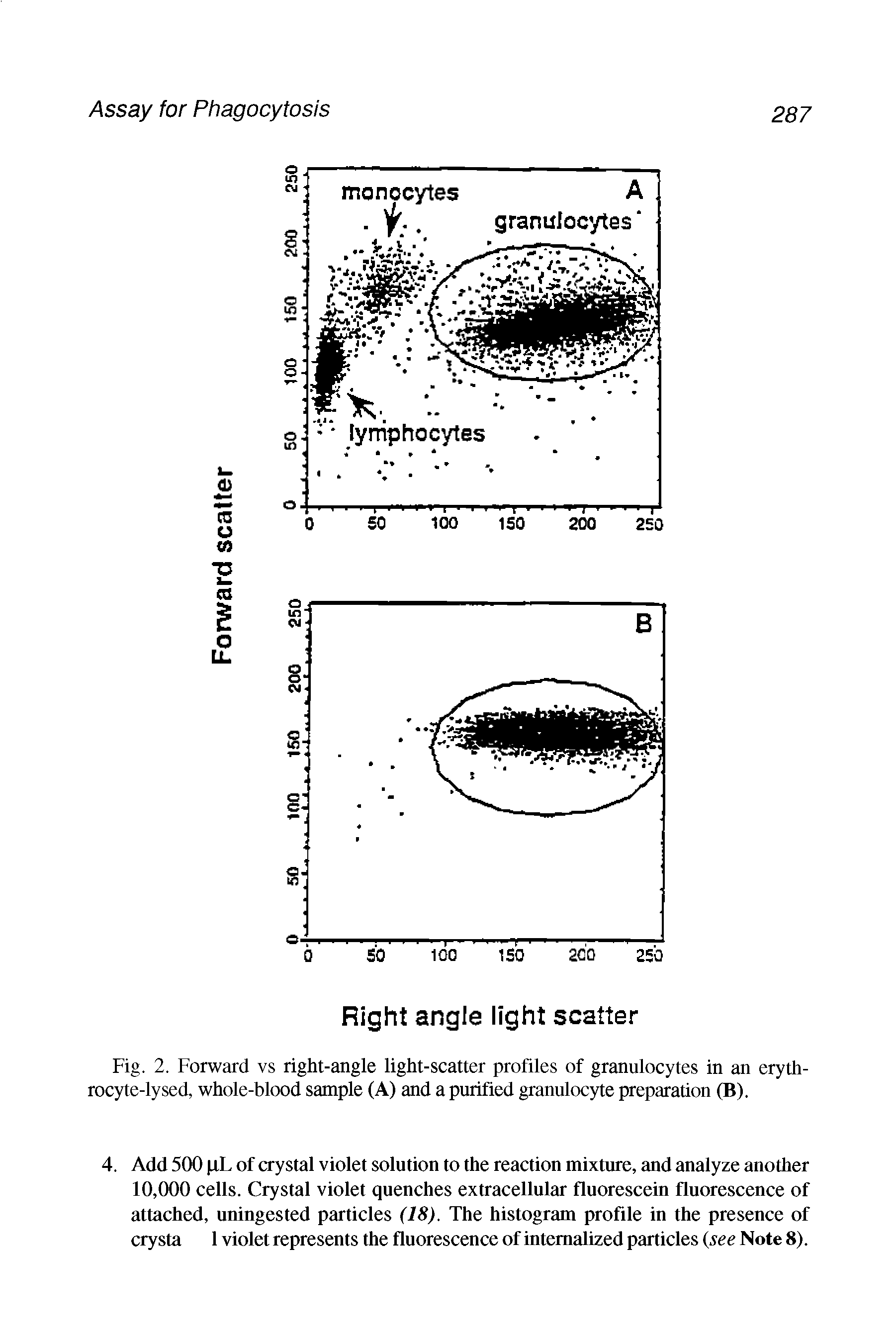 Fig. 2. Forward vs right-angle light-scatter profiles of granulocytes in an erythrocyte-lysed, whole-blood sample (A) and a purified granulocyte preparation (B).