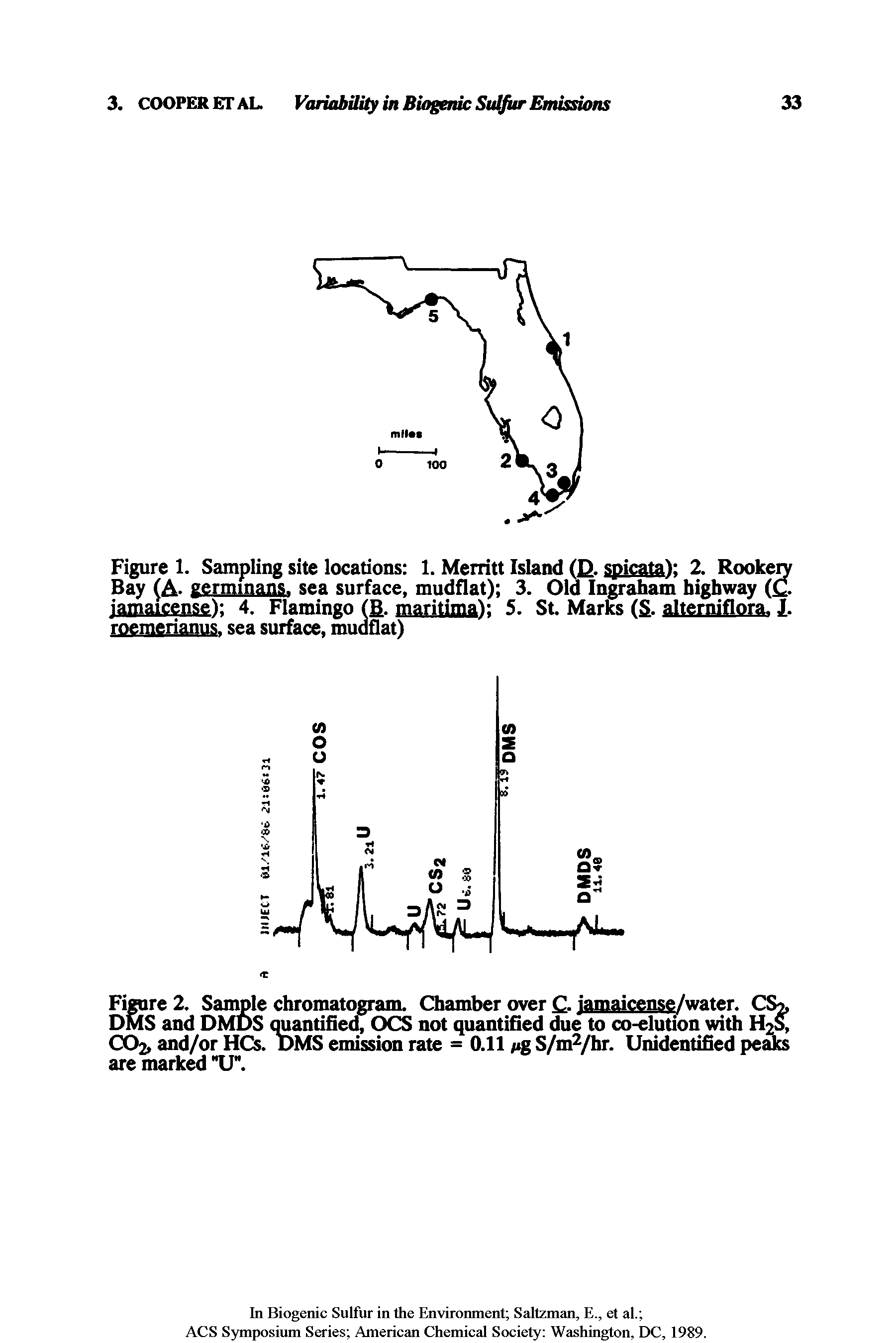 Figure 1. Sampling site locations 1. Merritt Island (E. spicatal 2. Rookery Bay (A- germinans. sea surface, mudflat) 3. Old Ingraham highway ( . jamaicensc) 4. Flamingo (B. maritima) 5. St. Marks ( . alterniflora. I. roemerianus. sea surface, mudflat)...