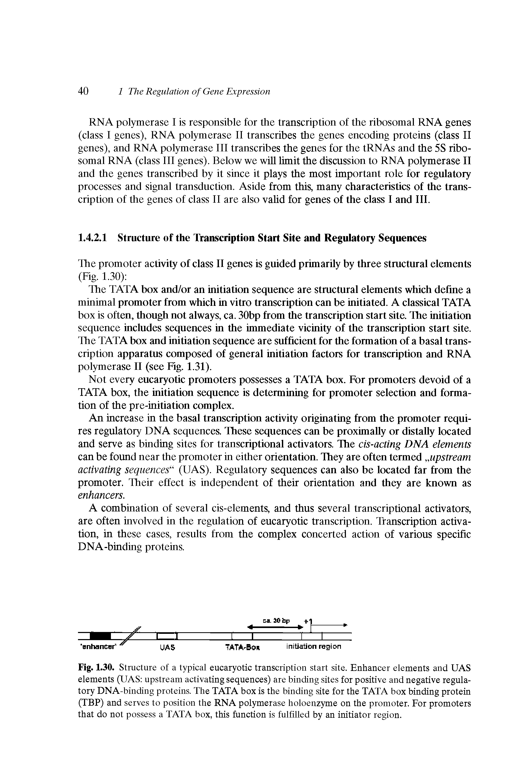 Fig. 1.30. Structure of a typical eucaryotic transcription start site. Enhancer elements and UAS elements (UAS upstream activating sequences) are binding sites for positive and negative regulatory DNA-binding proteins. The TATA box is the binding site for the TATA box binding protein (TBP) and serves to position the RNA polymerase holoenzyme on the promoter. For promoters that do not possess a TATA box, this function is fulfilled by an initiator region.