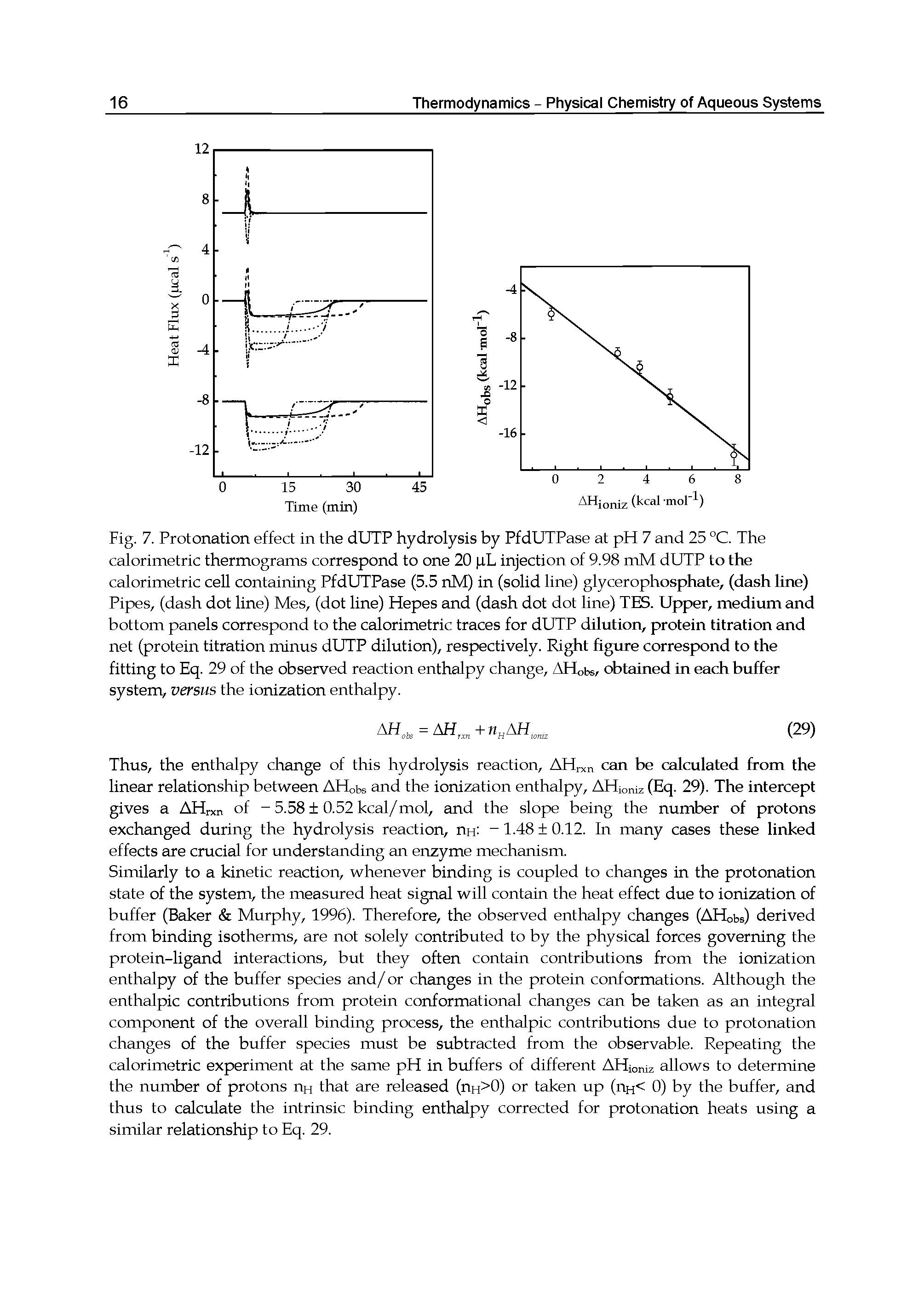 Fig. 7. Protonation effect in the dUTP hydrolysis by PfdUTPase at pH 7 and 25 °C. The calorimetric thermograms correspond to one 20. iL injection of 9.98 mM dUTP to the calorimetric cell containing PfdUTPase (5.5 nM) in (solid line) glycerophosphate, (dash line) Pipes, (dash dot line) Mes, (dot line) Hepes and (dash dot dot line) TES. Upf>er, medium and bottom panels correspond to the calorimetric traces for dUTP dilution, protein titration and net (protein titration minus dUTP dilution), respectively. Right figure correspond to the fitting to Eq. 29 of the observed reaction enthalpy change, AHobs, obtained in each buffer system, versus the ionization enthalpy.