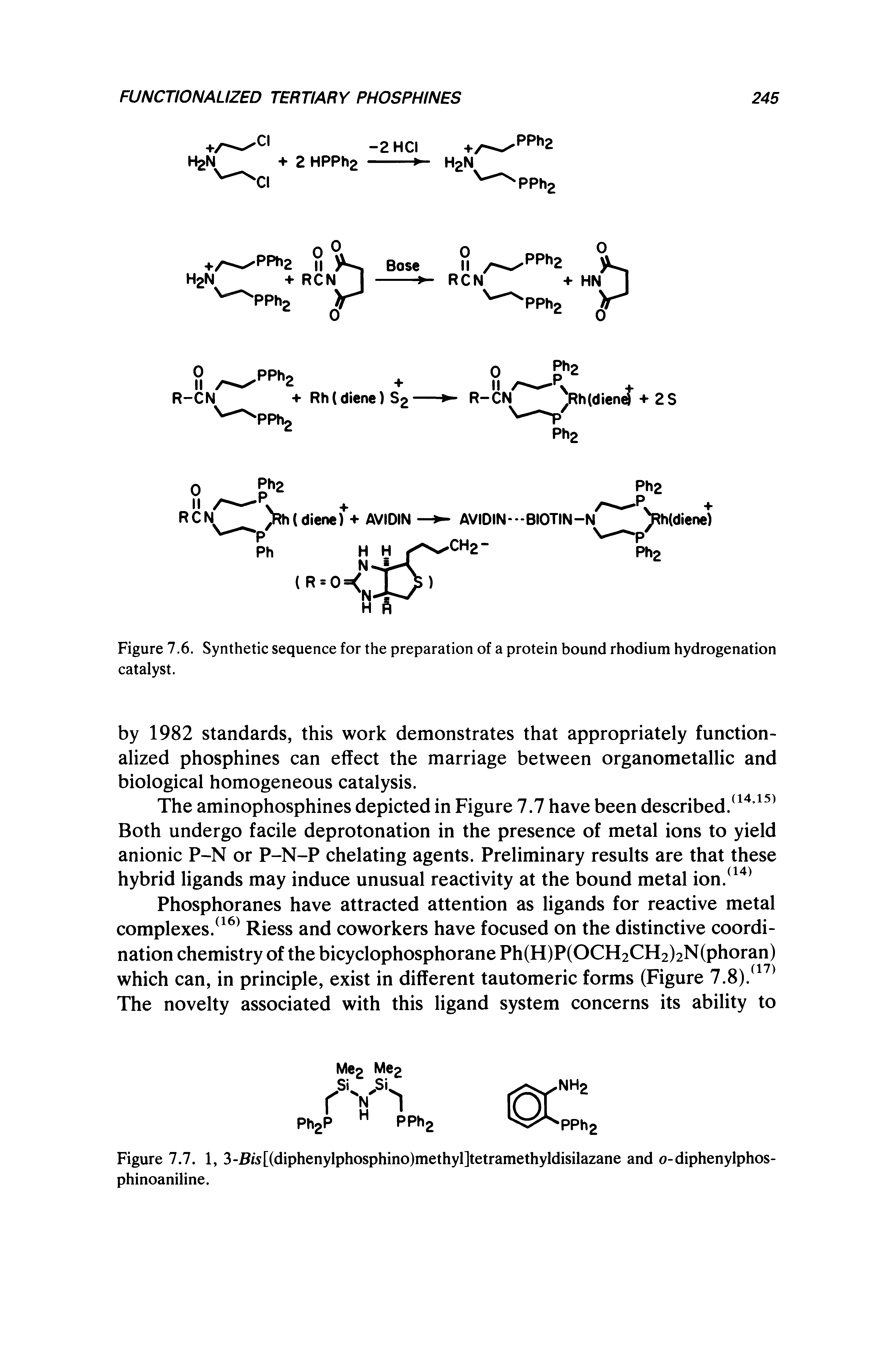 Figure 7.6. Synthetic sequence for the preparation of a protein bound rhodium hydrogenation catalyst.