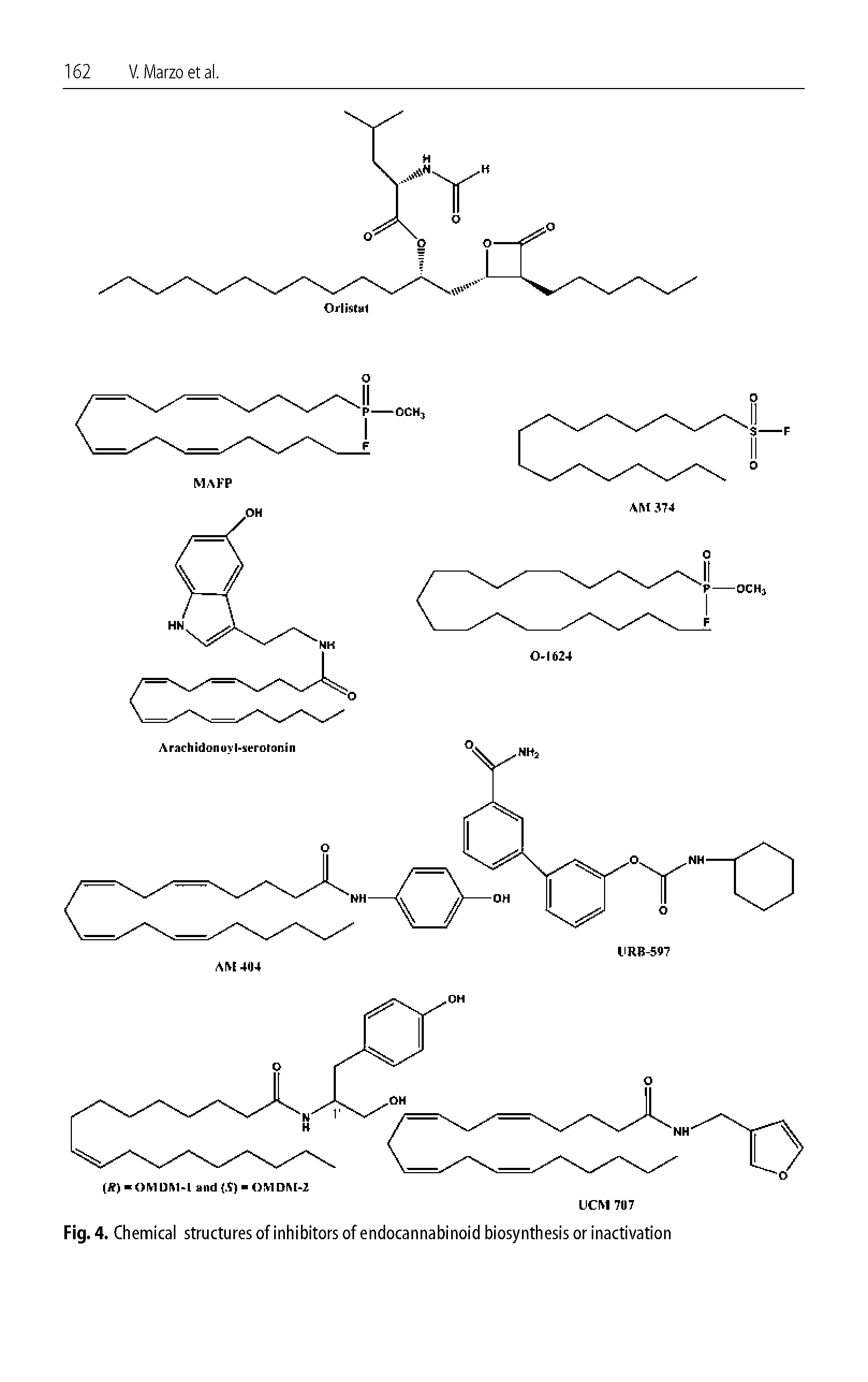 Fig. 4. Chemical structures of inhibitors of endocannabinoid biosynthesis or inactivation...