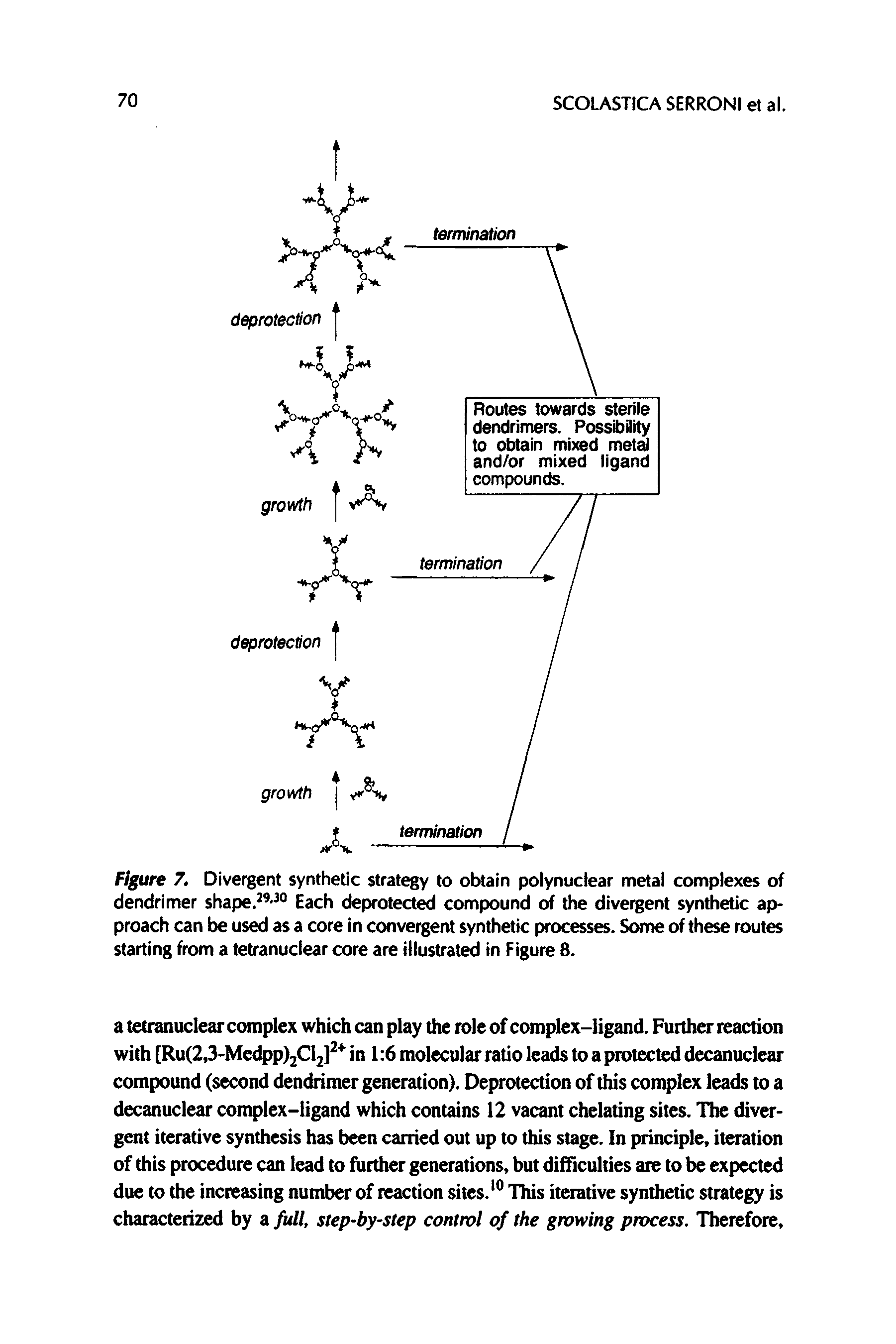 Figure 7. Divergent synthetic strategy to obtain polynuclear metal complexes of dendrimer shape. - ° Each deprotected compound of the dive ent synthetic approach can be used as a core in convergent synthetic processes. Some of these routes starting from a tetranuclear core are illustrated in Figure 8.