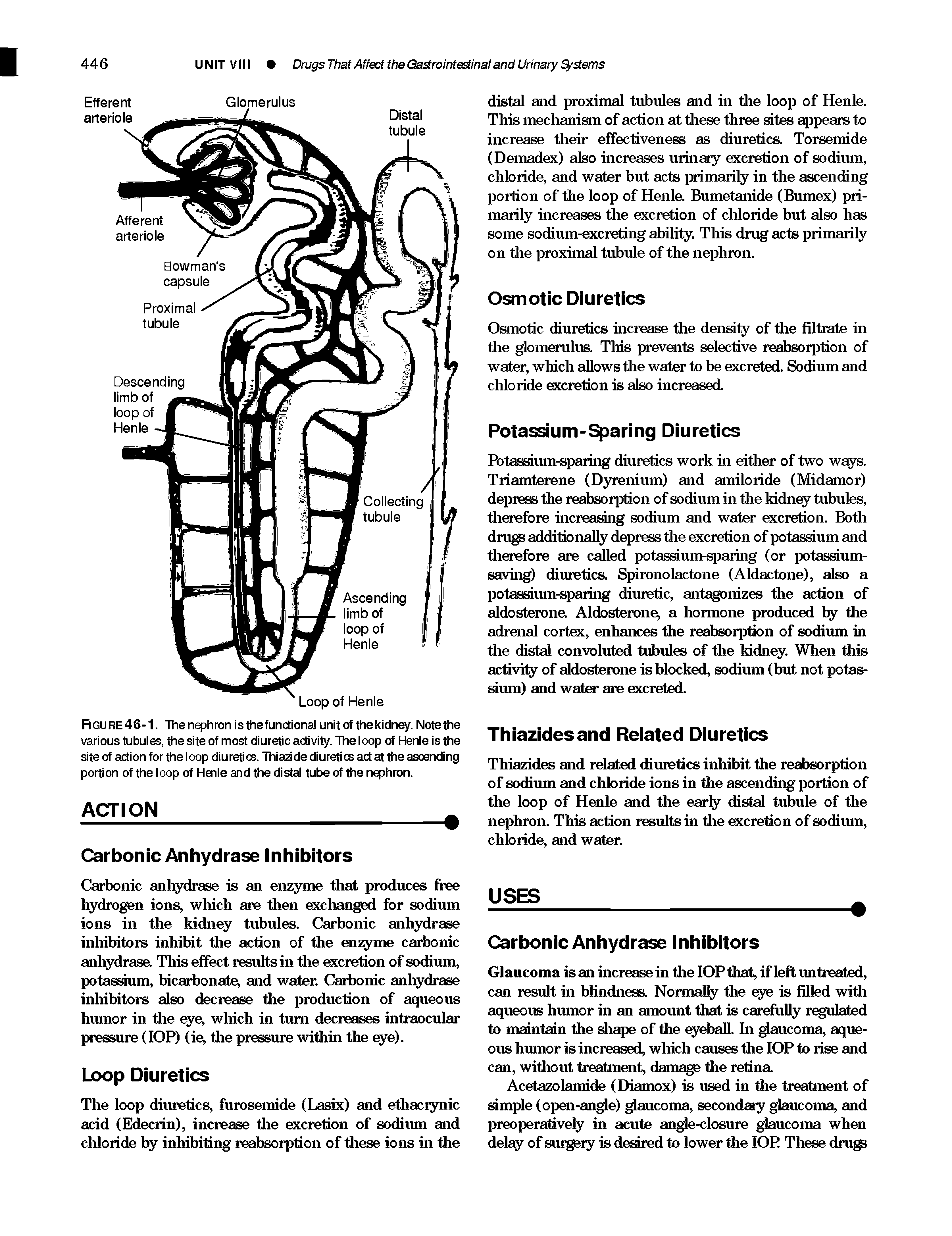 Figure 46-1. The nephron is the functional unit of the kidney. Note the various tubules, the site of most diuretic activity. The loop of Henle is the site of action for the loop diuretics. Thiazide diuretics ad at the ascending portion of the loop of Henle and the distal tube of the nephron.