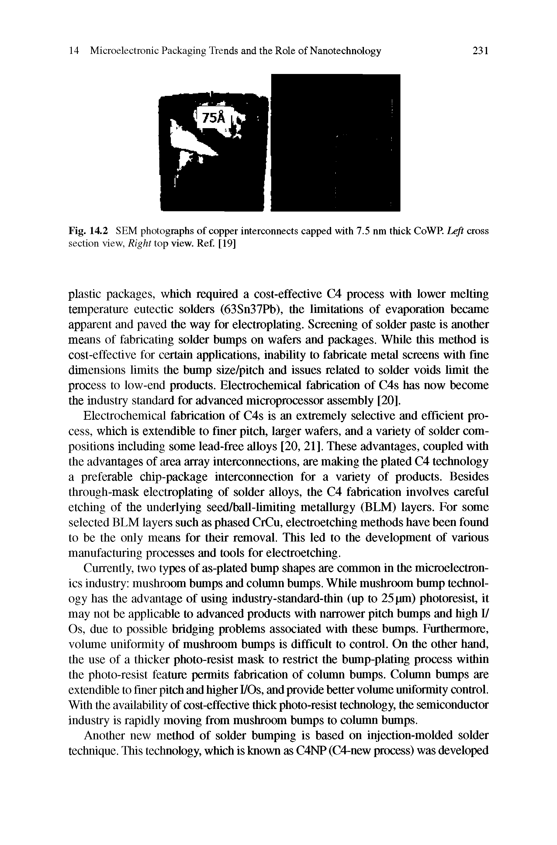 Fig. 14.2 SEM photographs of copper interconnects capped with 7.5 nm thick CoWP. Le/i cross section view, Right top view. Ref. [19]...
