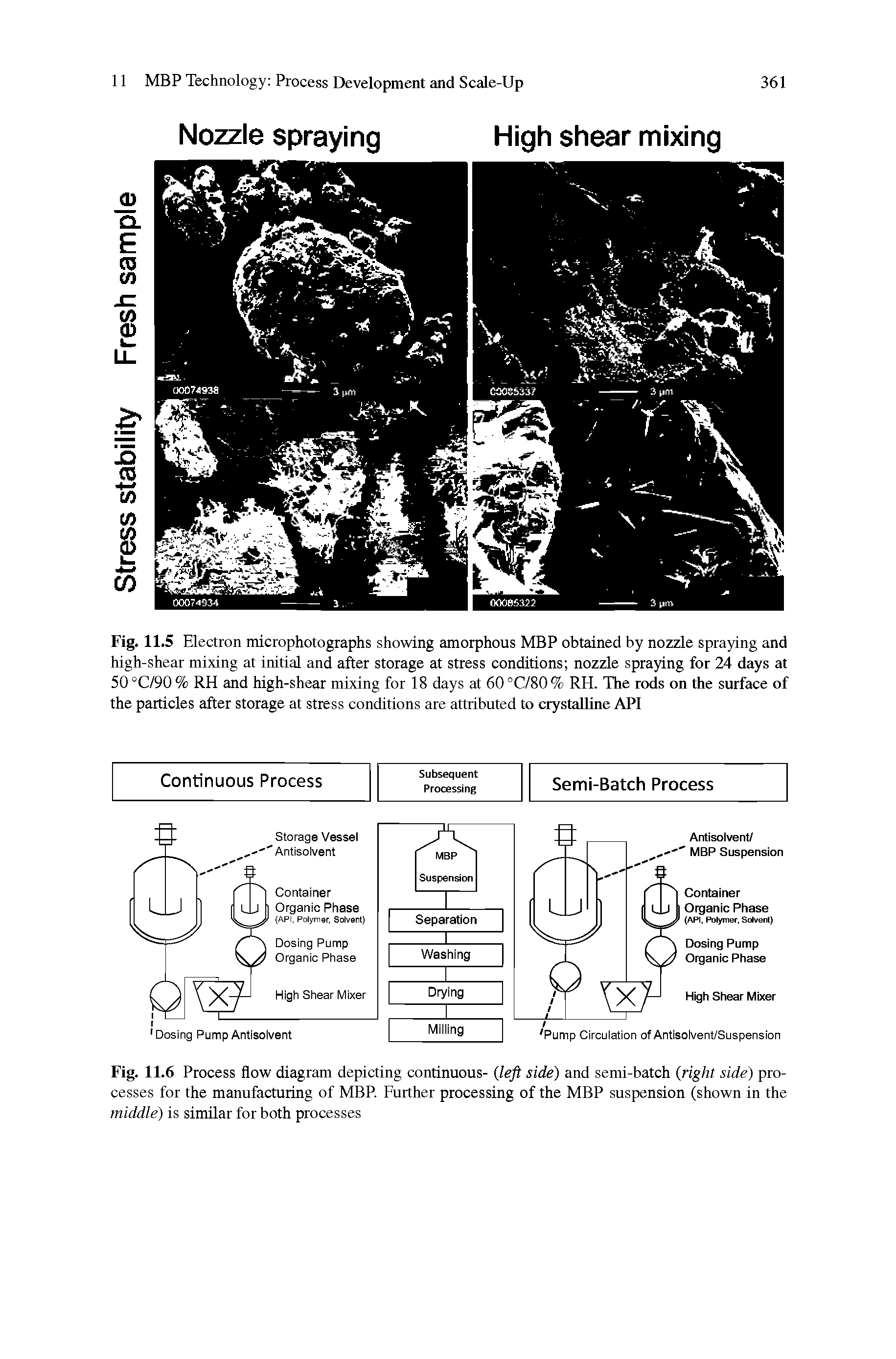 Fig. 11.6 Process flow diagram depicting continuous- left side) and semi-batch (right side) processes for the manufacturing of MBP. Further processing of the MBP suspension (shown in the middle) is similar for both processes...