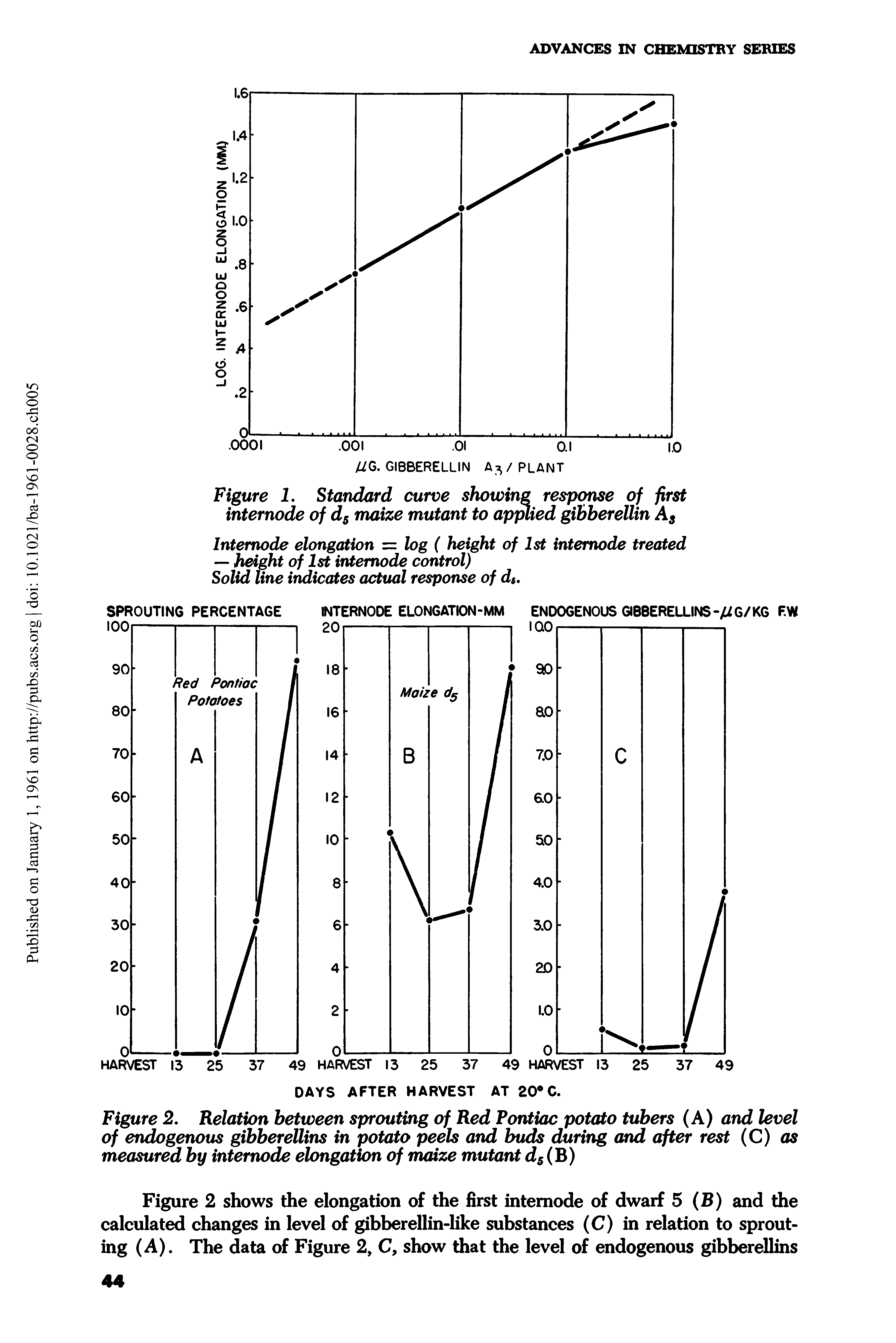 Figure 2. Relation between sprouting of Red Pontiac potato tubers (A) and level of endogenous gibberellins in potato peels and buds during and after rest (C) as measured by internode elongation of maize mutant d5( B)...