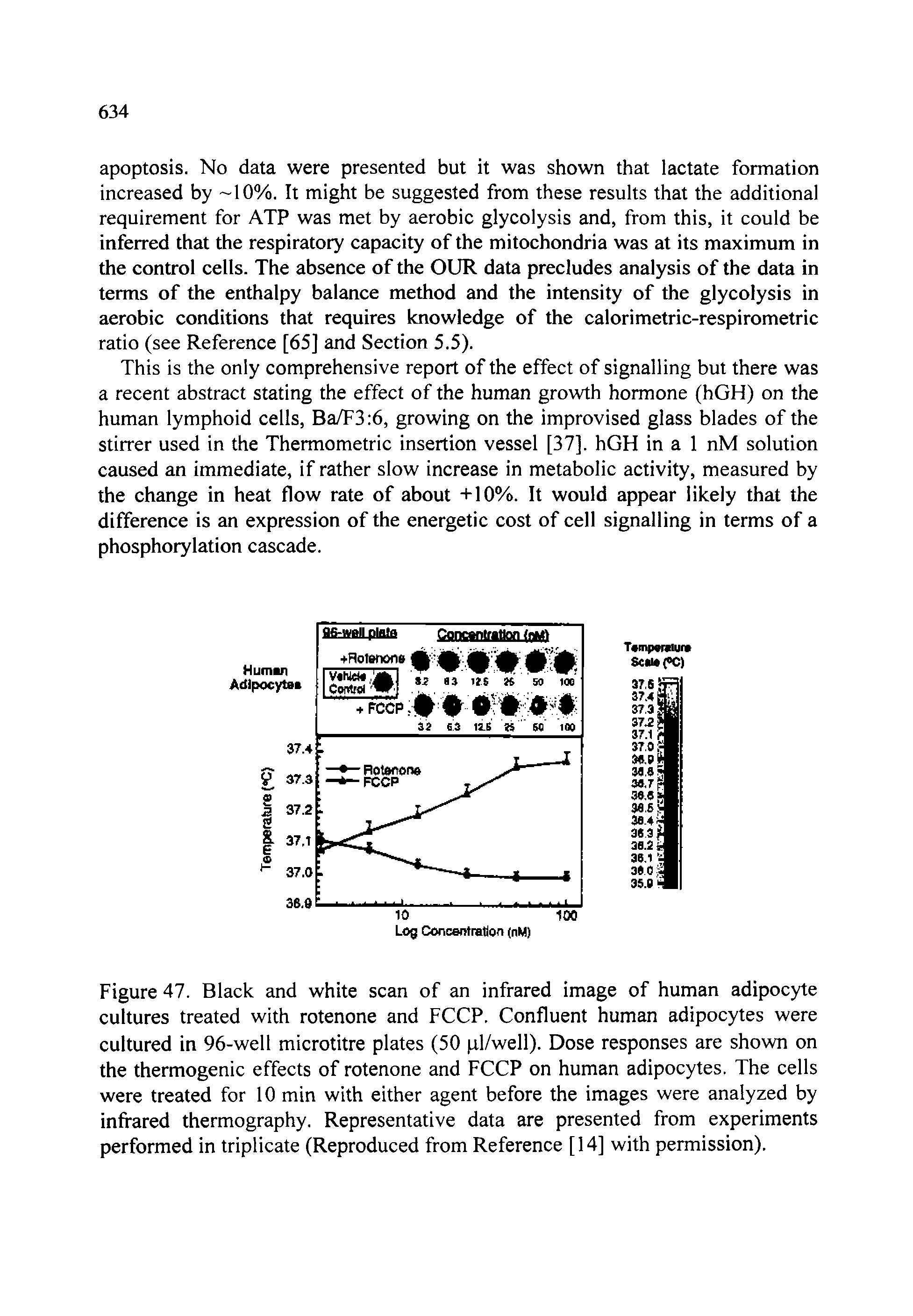 Figure 47. Black and white scan of an infrared image of human adipocyte cultures treated with rotenone and FCCP. Confluent human adipocytes were cultured in 96-well microtitre plates (50 pl/well). Dose responses are shown on the thermogenic effects of rotenone and FCCP on human adipocytes. The cells were treated for 10 min with either agent before the images were analyzed by infrared thermography. Representative data are presented from experiments performed in triplicate (Reproduced from Reference [14] with permission).