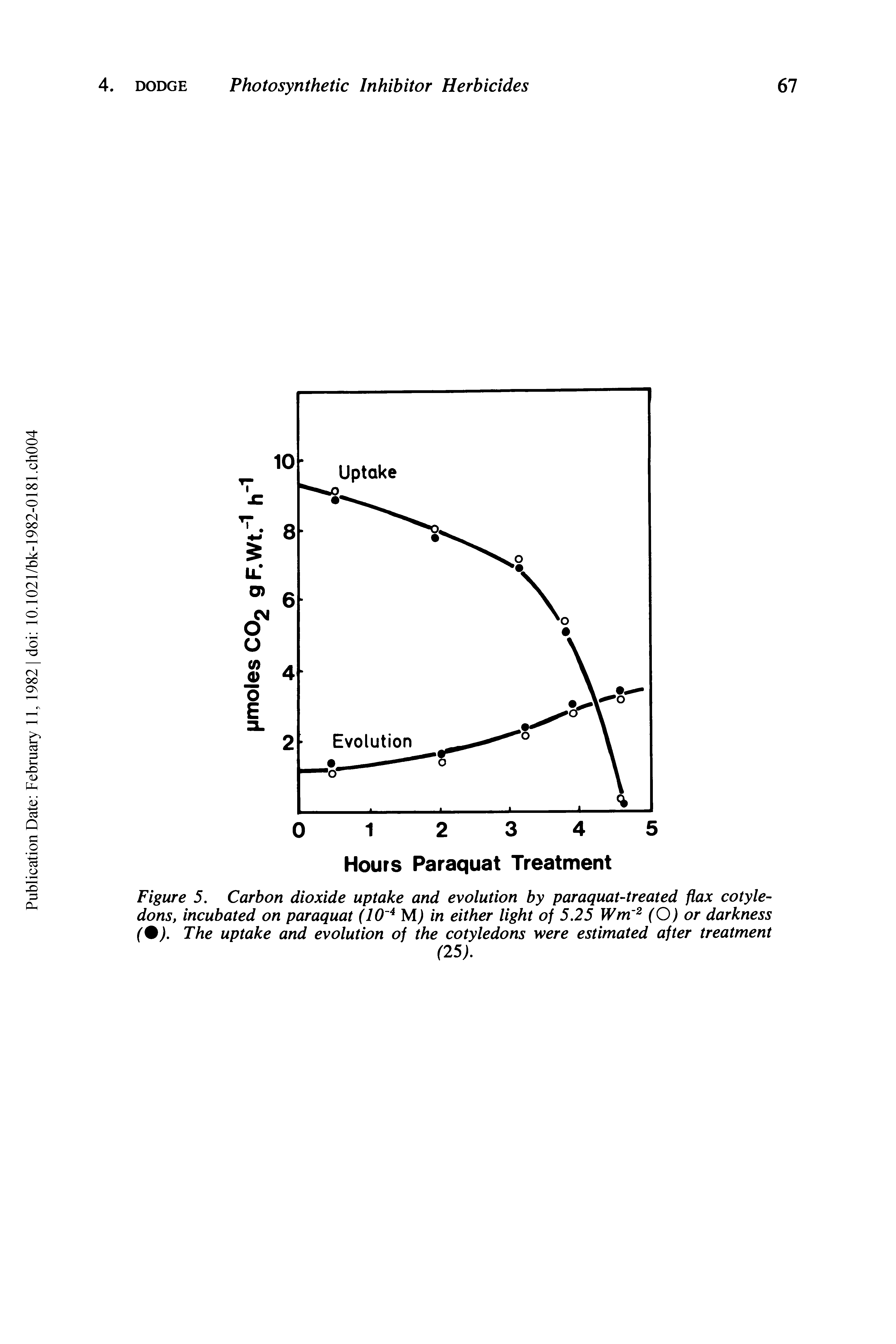 Figure 5. Carbon dioxide uptake and evolution by paraquat-treated flax cotyledons, incubated on paraquat in either light of 5.25 Wm (O) or darkness...