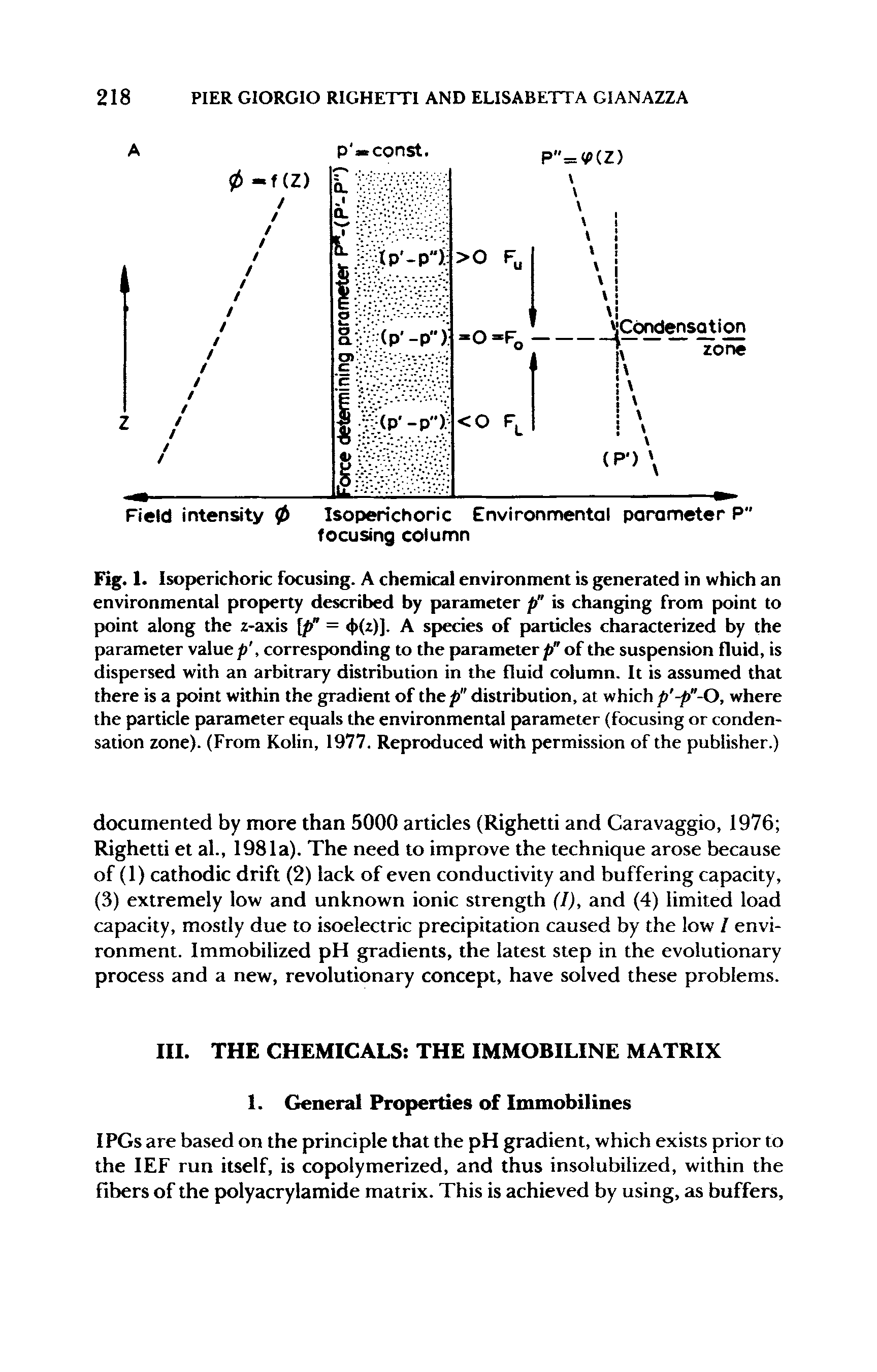 Fig. 1. Isopjerichoric focusing. A chemical environment is generated in which an environmental property described by parameter p" is changing from point to point along the z-axis p" = <t>(z)]. A species of particles characterized by the parameter value/), corresfxtnding to the parameter/>" of the suspension fluid, is dispersed with an arbitrary distribution in the fluid column. It is assumed that there is a X>int within the gradient of the p" distribution, at which p -p"-0, where the particle parameter equals the environmental parameter (focusing or condensation zone). (From Kolin, 1977. Reproduced with permission of the publisher.)...