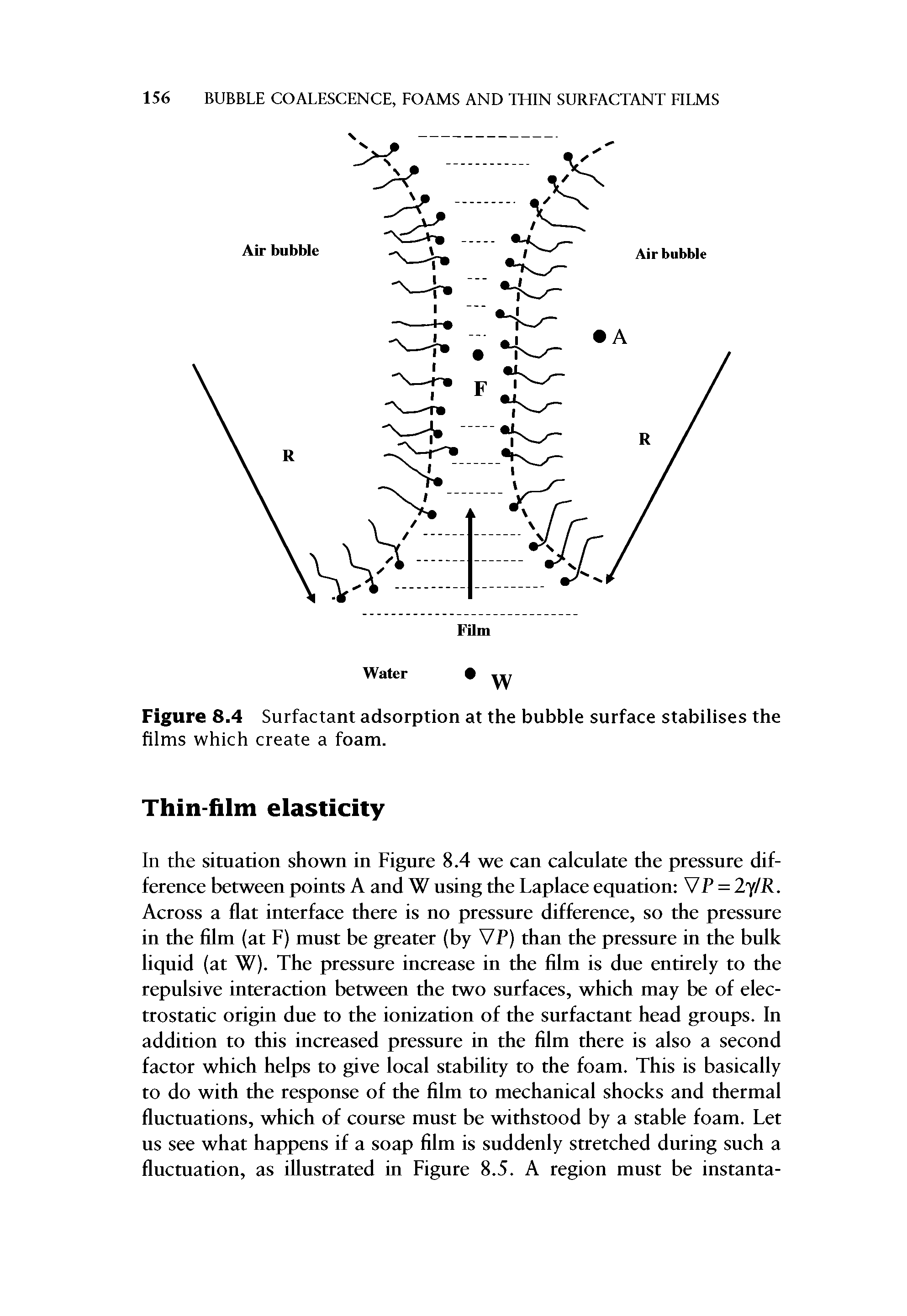 Figure 8.4 Surfactant adsorption at the bubble surface stabilises the films which create a foam.