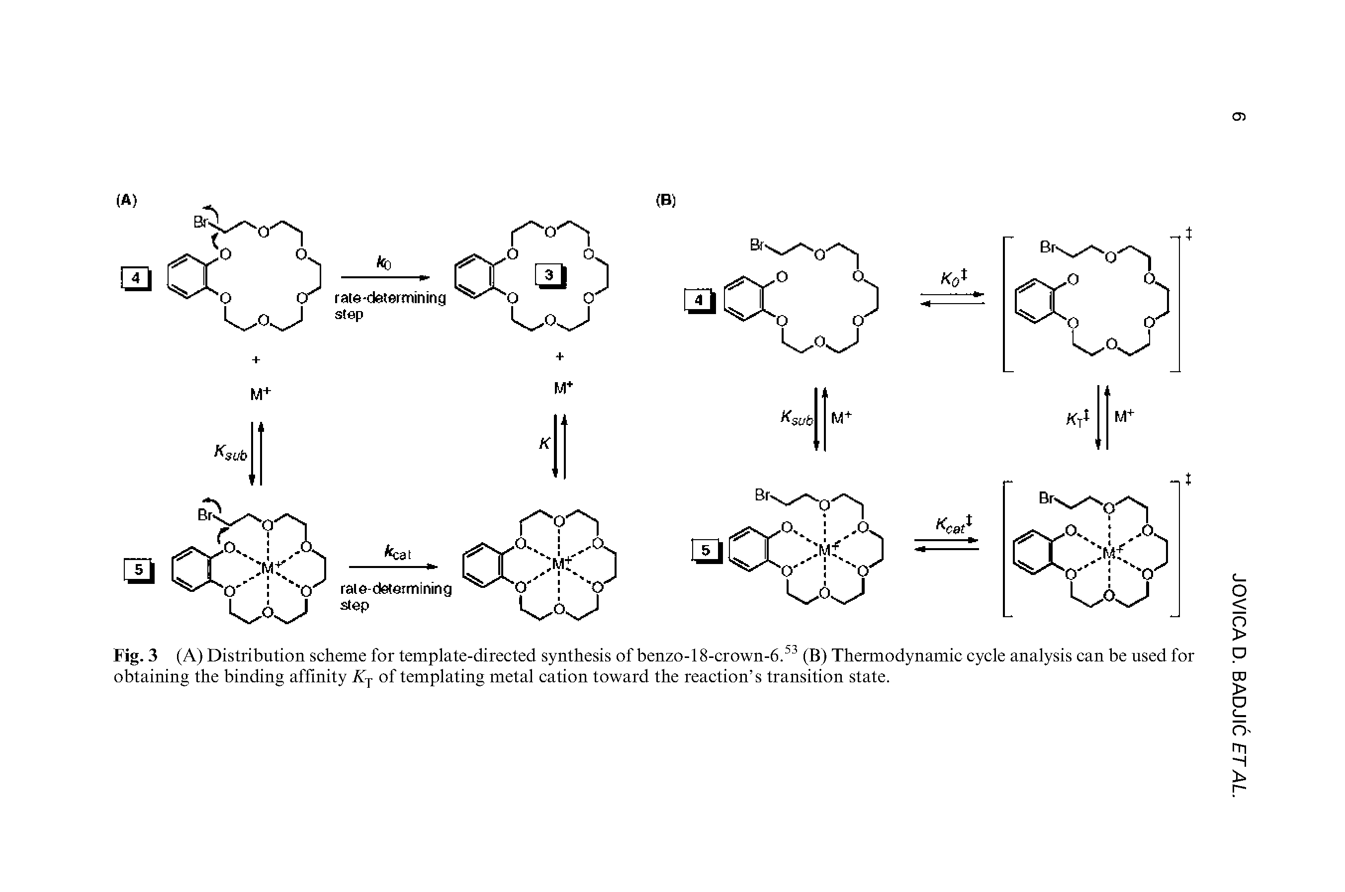 Fig. 3 (A) Distribution scheme for template-directed synthesis of benzo-18-crown-6.53 (B) Thermodynamic cycle analysis can be used for...