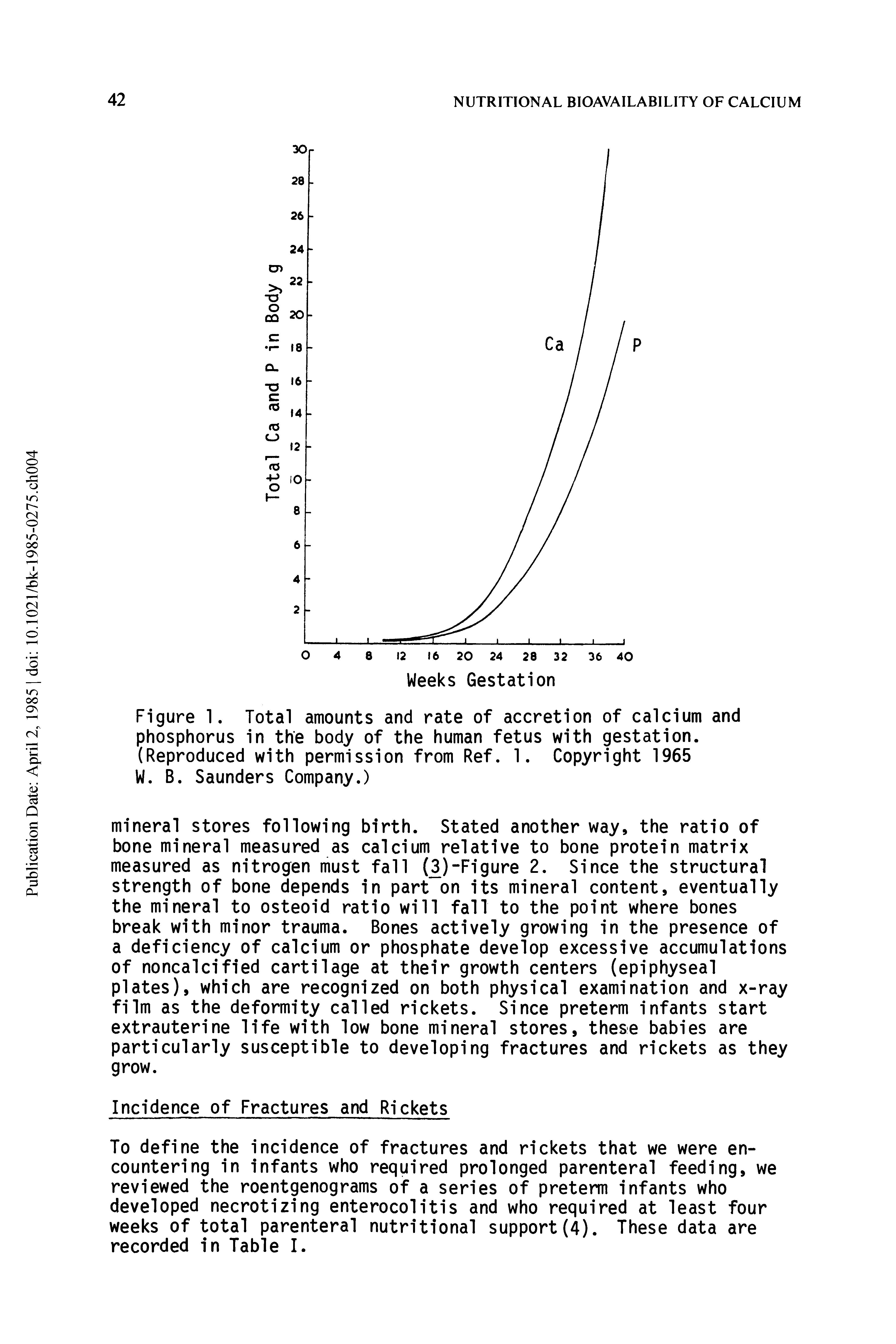 Figure 1. Total amounts and rate of accretion of calcium and phosphorus in the body of the human fetus with gestation. (Reproduced with permission from Ref. 1. Copyright 1965 W. B. Saunders Company.)...