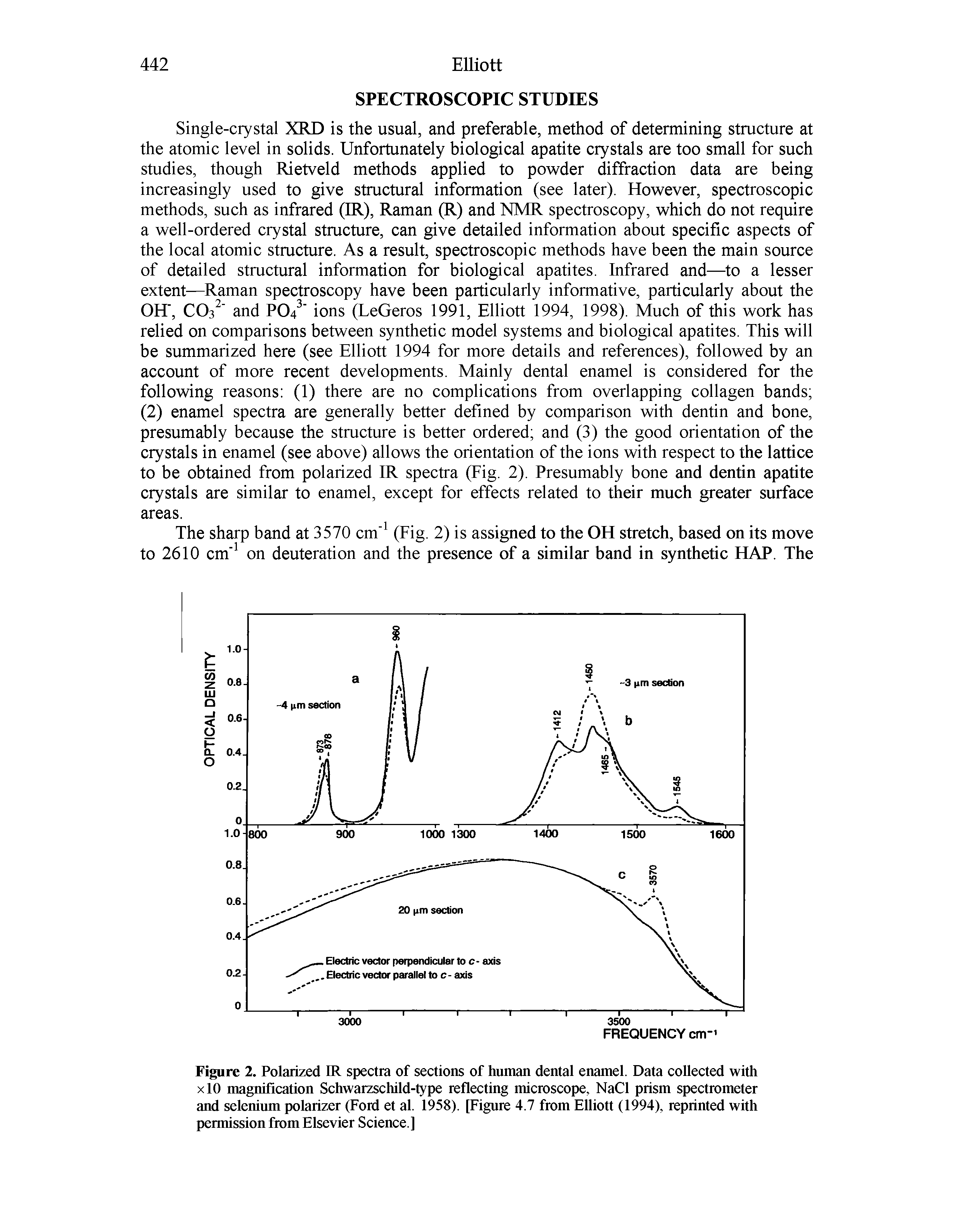 Figure 2. Polarized IR spectra of sections of human dental enamel. Data collected with xlO magnification Schwarzschild-type reflecting microscope, NaCl prism spectrometer and selenium polarizer (Ford et al. 1958). [Figure 4.7 from Elliott (1994), reprinted with permission from Elsevier Science.]...