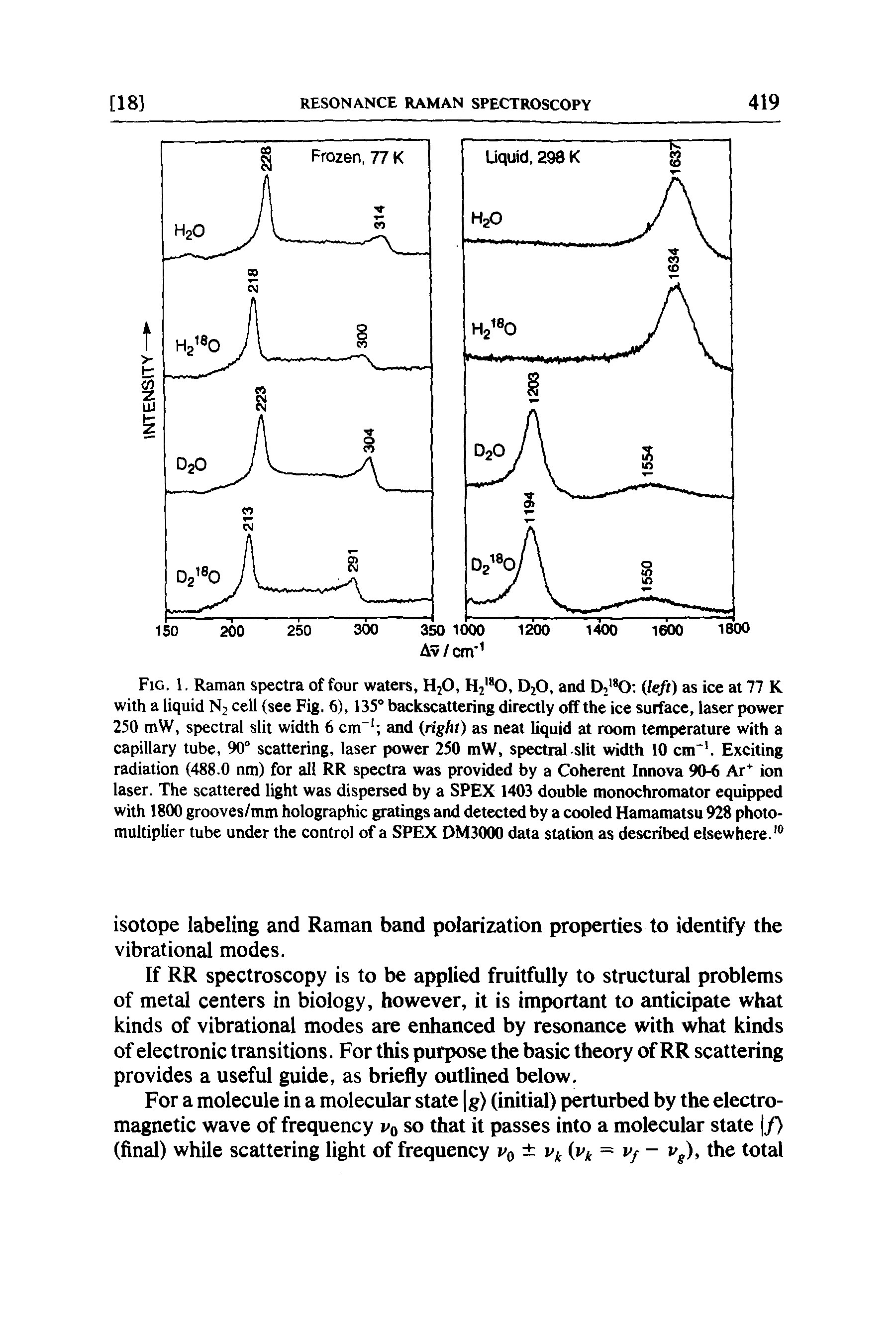 Fig. 1. Raman spectra of four waters, HjO, H2 0, D2O, and Di left) as ice at 77 K with a liquid N2 cell (see Fig. 6), 135° backscattering directly off the ice surface, laser power 250 mW, spectral slit width 6 cm and right) as neat liquid at room temperature with a capillary tube, 90° scattering, laser power 250 mW, spectral slit width 10 cm". Exciting radiation (488.0 nm) for all RR spectra was provided by a Coherent Innova 90-6 Ar ion laser. The scattered light was dispersed by a SPEX 1403 double monochromator equipped with 1800 grooves/mm holographic gratings and detected by a cooled Hamamatsu 928 photomultiplier tube under the control of a SPEX DM3000 data station as described elsewhere. ...