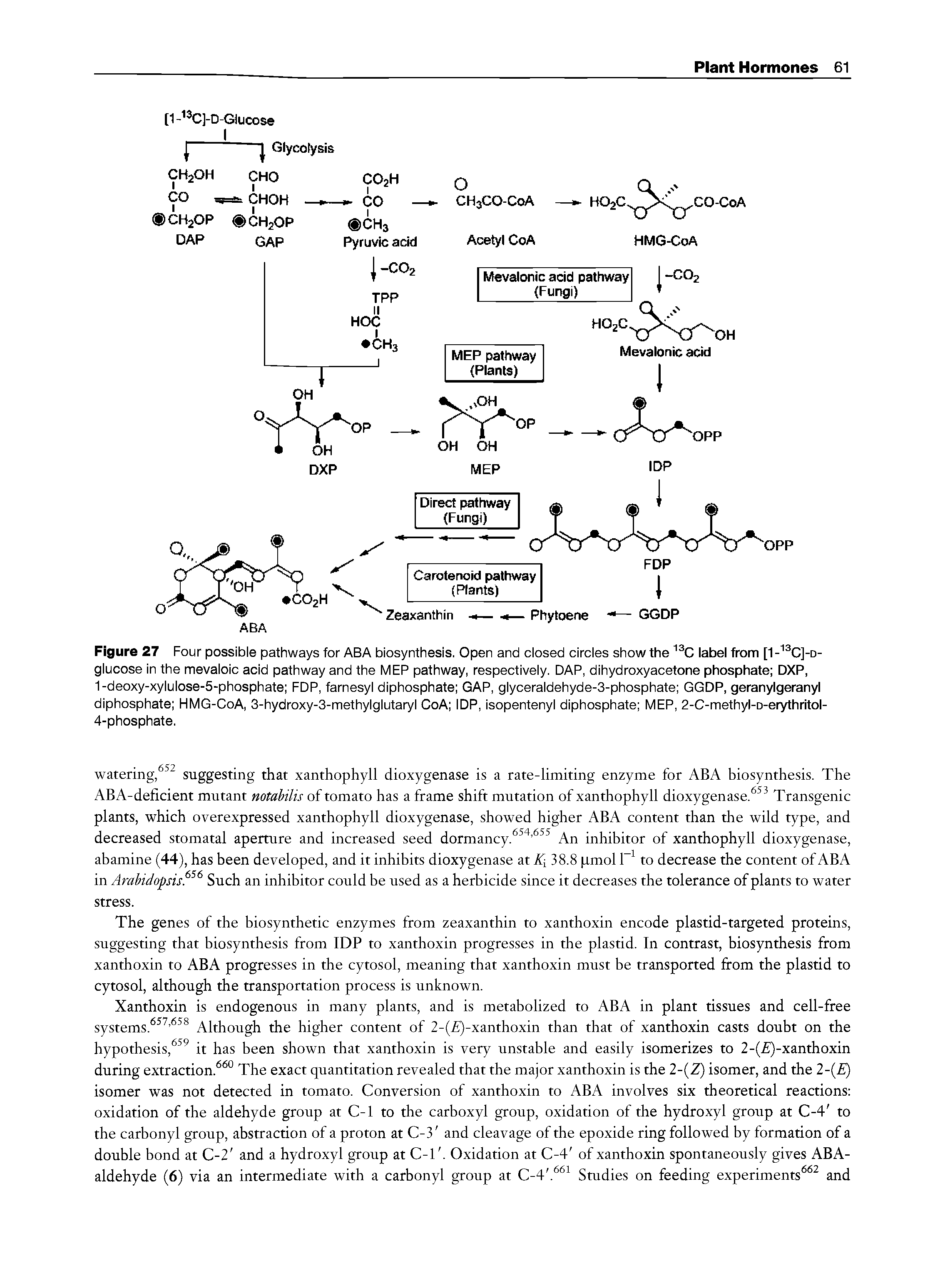 Figure 27 Four possible pathways for ABA biosynthesis. Open and closed circles show the 13C label from [1-13C]-d-glucose in the mevaloic acid pathway and the MEP pathway, respectively. DAP, dihydroxyacetone phosphate DXP, 1-deoxy-xylulose-5-phosphate FDP, farnesyl diphosphate GAP, glyceraldehyde-3-phosphate GGDP, geranylgeranyl diphosphate HMG-CoA, 3-hydroxy-3-methylglutaryl CoA IDP, isopentenyl diphosphate MEP, 2-C-methyl-D-erythritol-4-phosphate.