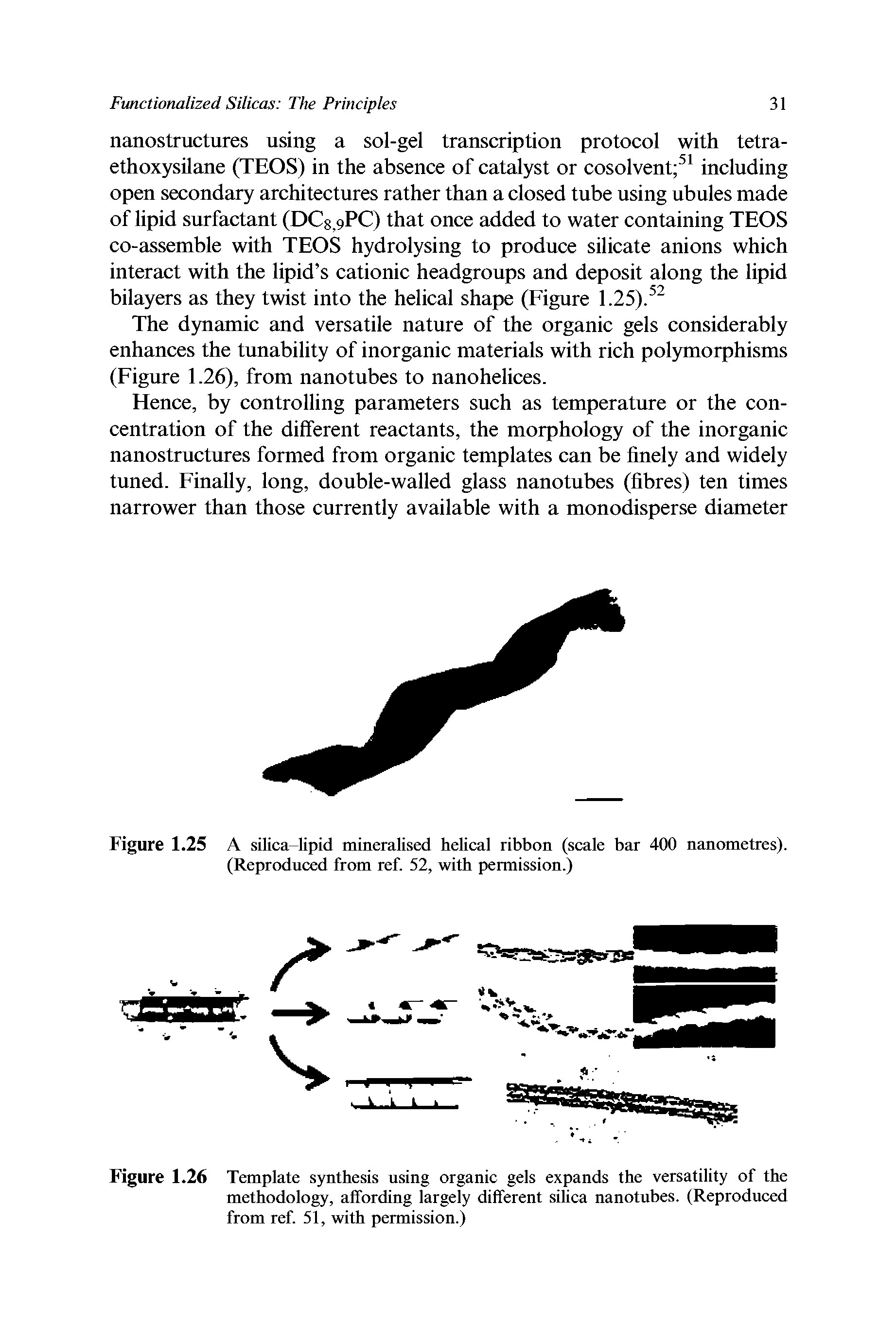 Figure 1.26 Template synthesis using organic gels expands the versatility of the methodology, affording largely different silica nanotubes. (Reproduced from ref. 51, with permission.)...