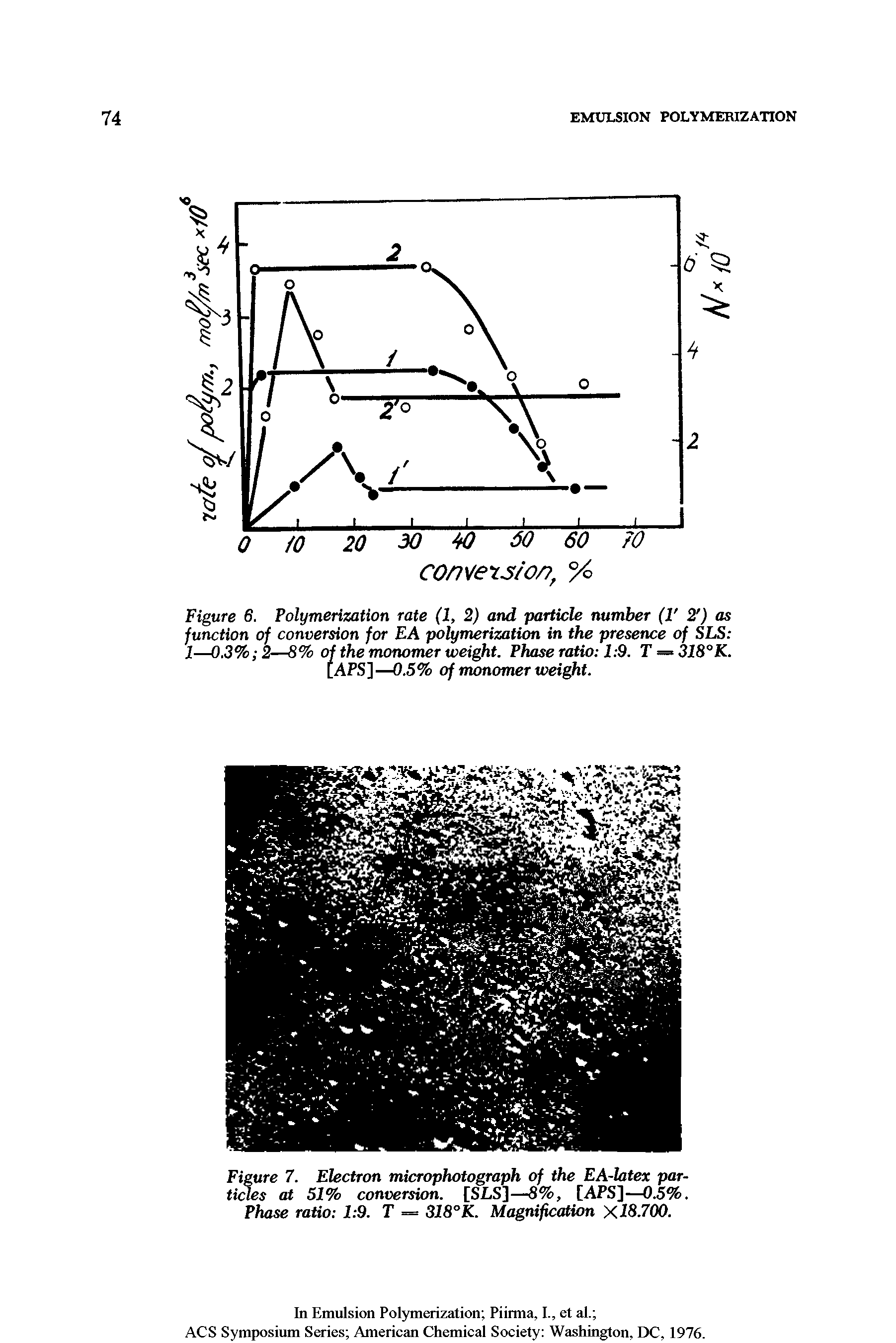 Figure 7. Electron microphotograph of the EA-htex par-tides at 51% conversion. [SLS]—8%, [APS]—0.5%. Phase ratio 1 9. T = 318°K. Magnification X18.700.