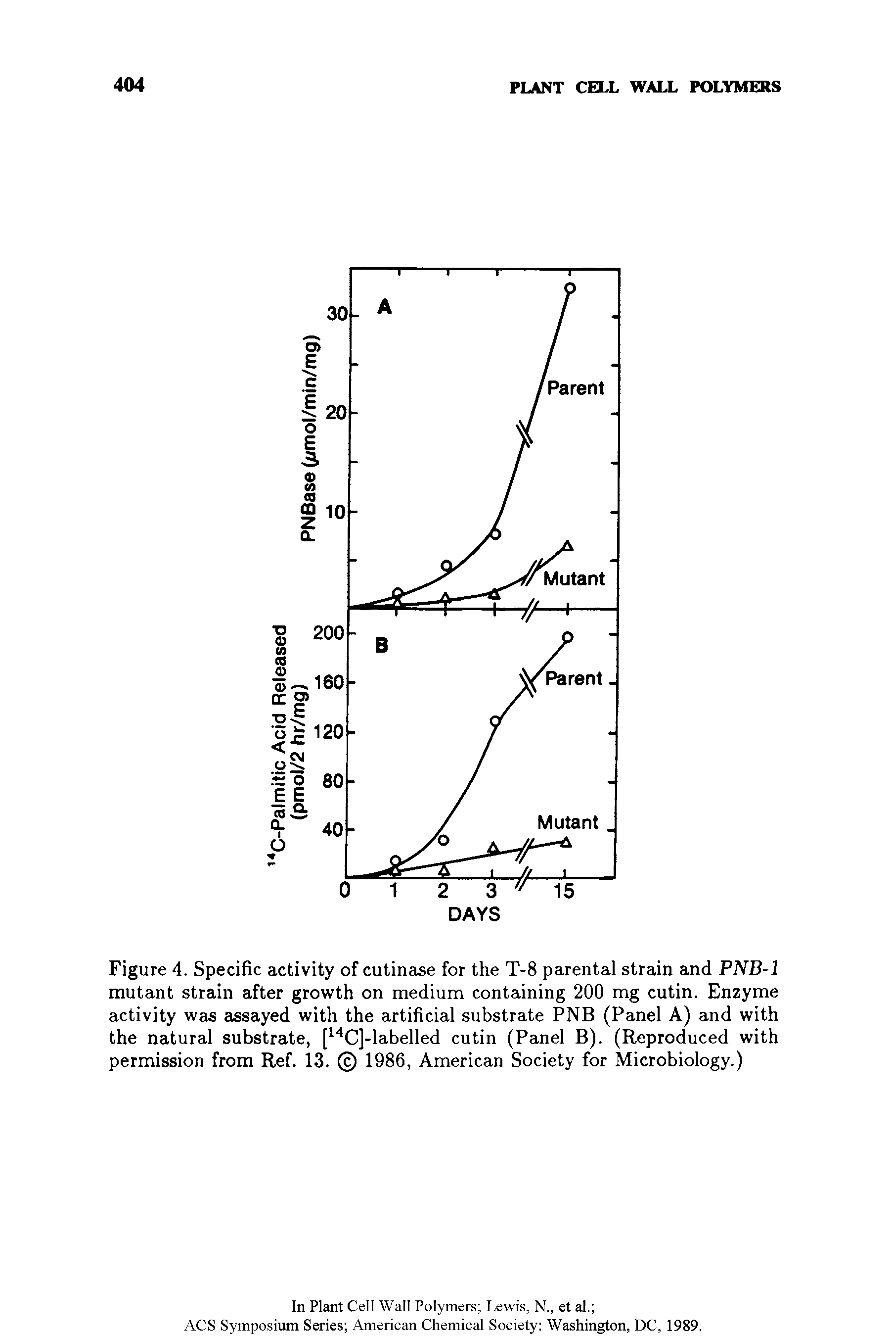 Figure 4. Specific activity of cutinase for the T-8 parental strain and PNB-1 mutant strain after growth on medium containing 200 mg cutin. Enzyme activity was assayed with the artificial substrate PNB (Panel A) and with the natural substrate, [14C]-labelled cutin (Panel B). (Reproduced with permission from Ref. 13. 1986, American Society for Microbiology.)...