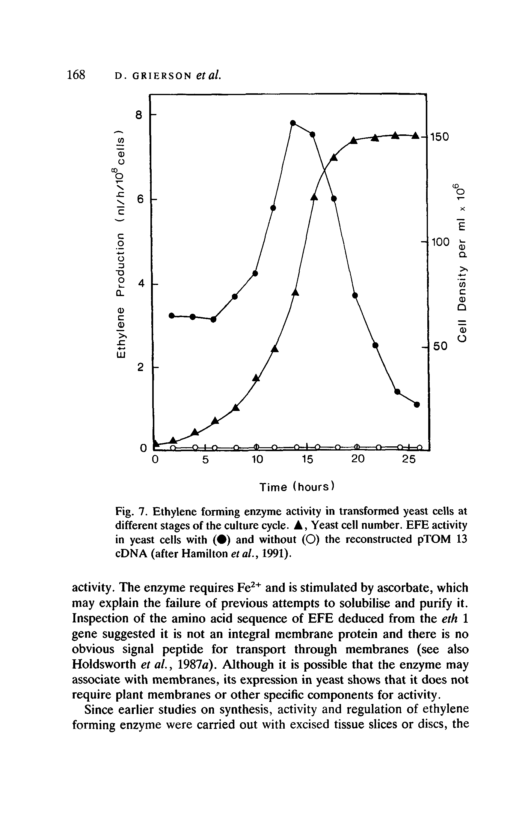 Fig. 7. Ethylene forming enzyme activity in transformed yeast cells at different stages of the culture cycle. A, Yeast cell number. EFE activity in yeast cells with ( ) and without (O) the reconstructed pTOM 13 cDNA (after Hamilton et al., 1991).