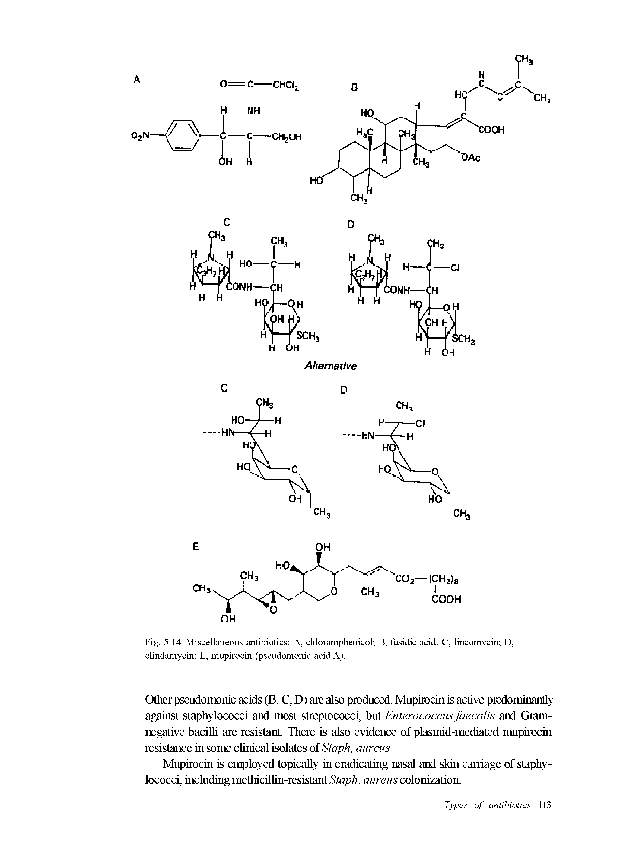 Fig. 5.14 Miscellaneous antibiotics A, chloramphenicol B, fusidic acid C, lincomycin D, clindamycin E, mupirocin (pseudomonic acid A).