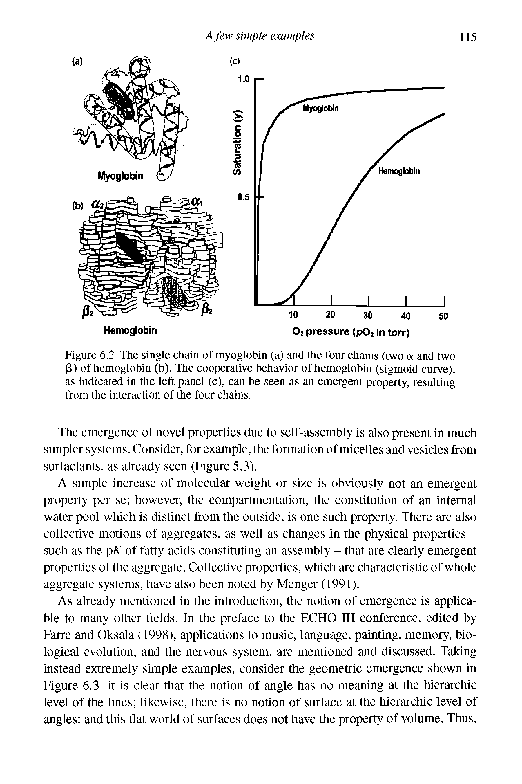 Figure 6.2 The single chain of myoglobin (a) and the four chains (two a and two P) of hemoglobin (b). The cooperative behavior of hemoglobin (sigmoid curve), as indicated in the left panel (c), can be seen as an emergent property, resulting from the interaction of the four chains.