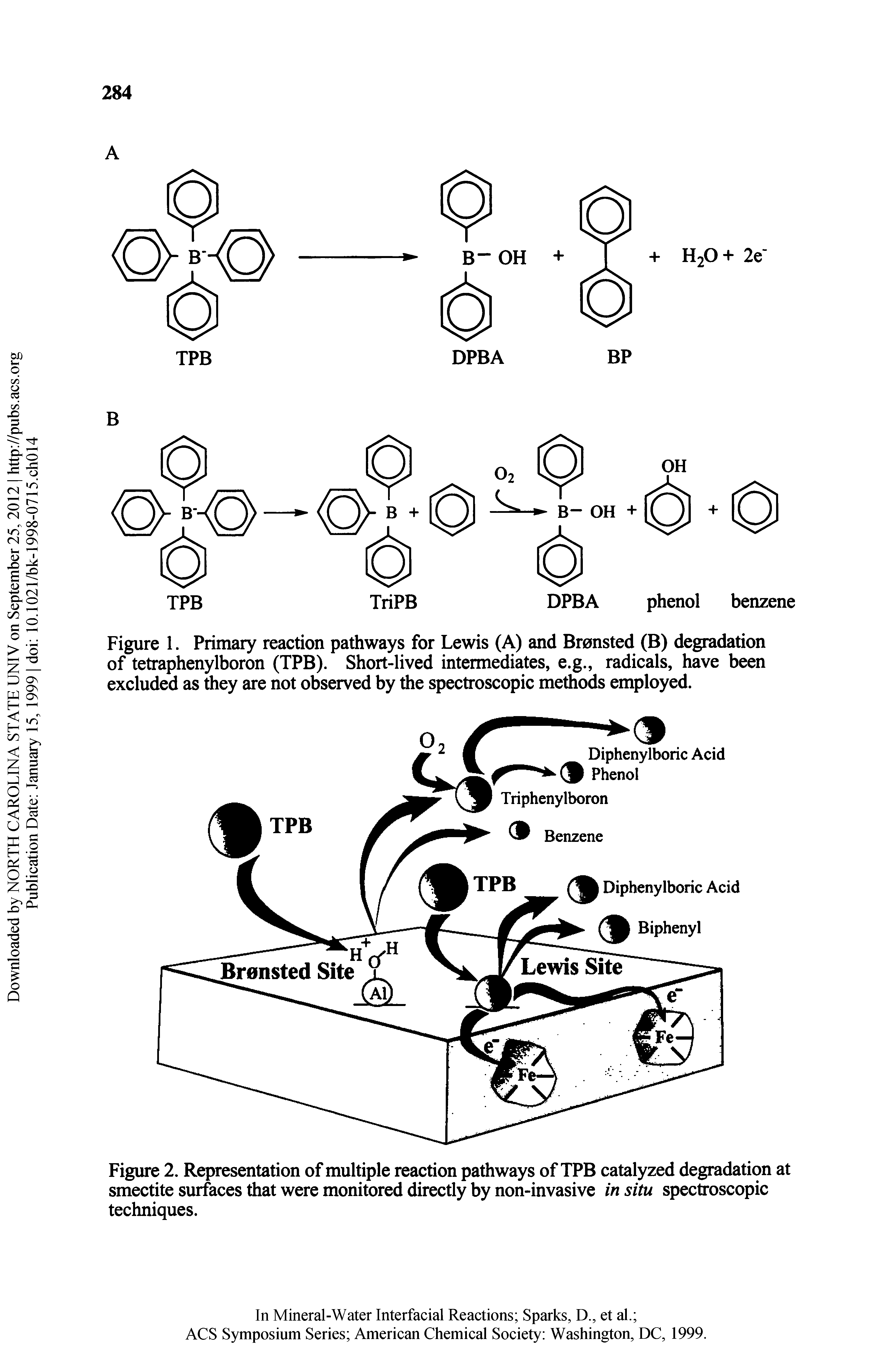 Figure 2. Representation of multiple reaction pathways of TPB catalyzed degradation at smectite surfaces that were monitored directly by non-invasive in situ spectroscopic techniques.