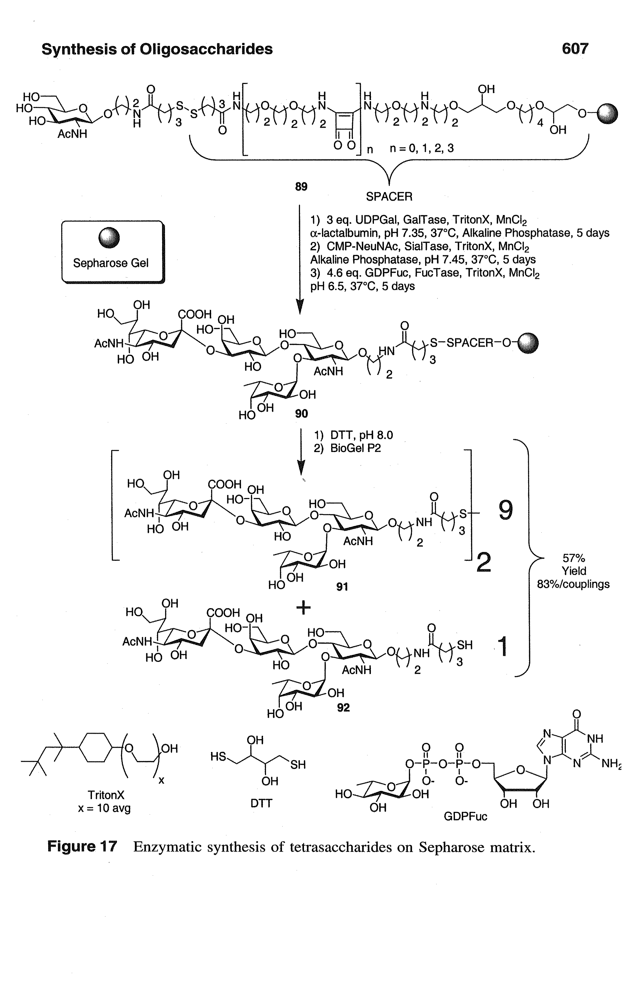 Figure 17 Enzymatic synthesis of tetrasaccharides on Sepharose matrix.